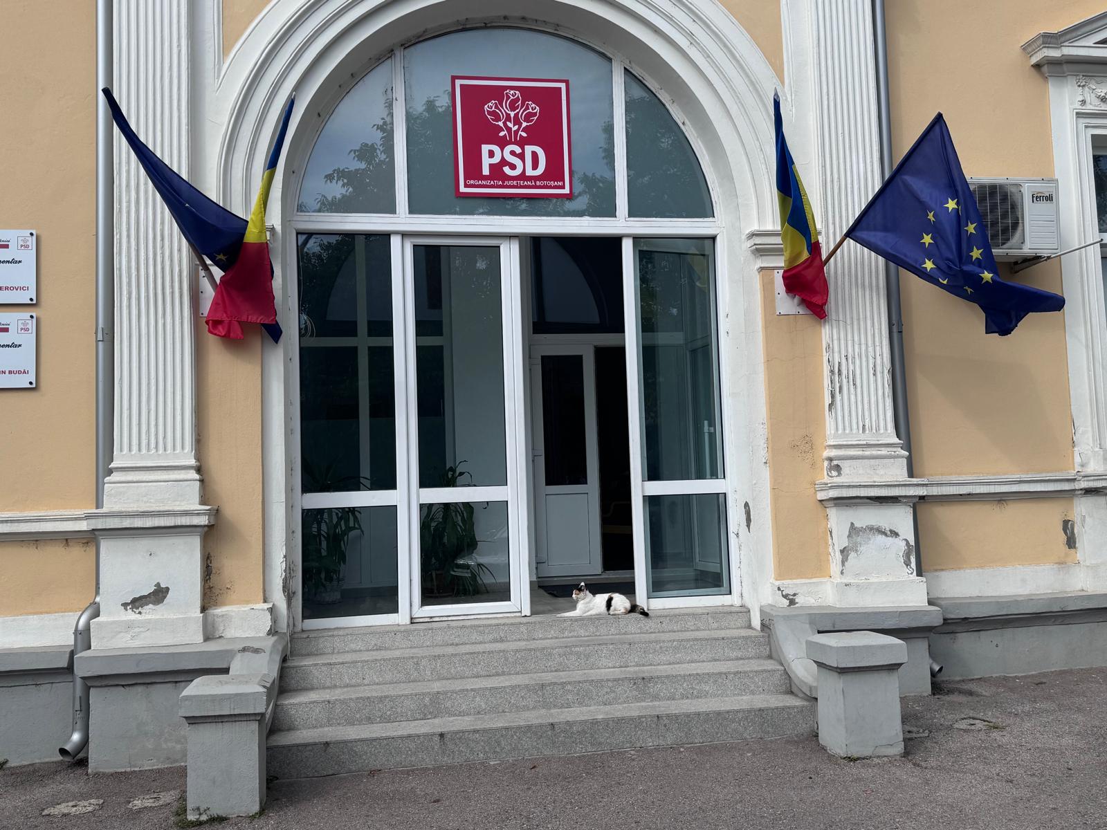 poza zilei 18 septembrie