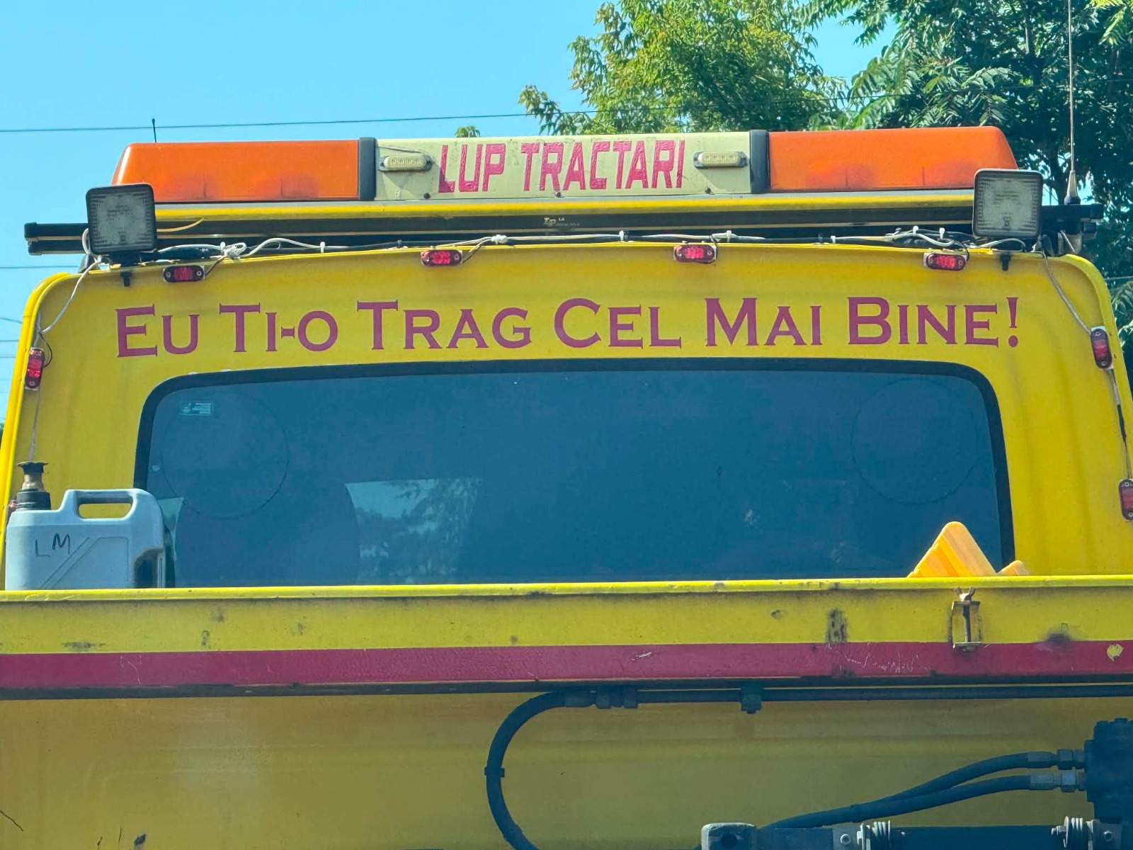 poza zilei 19 august