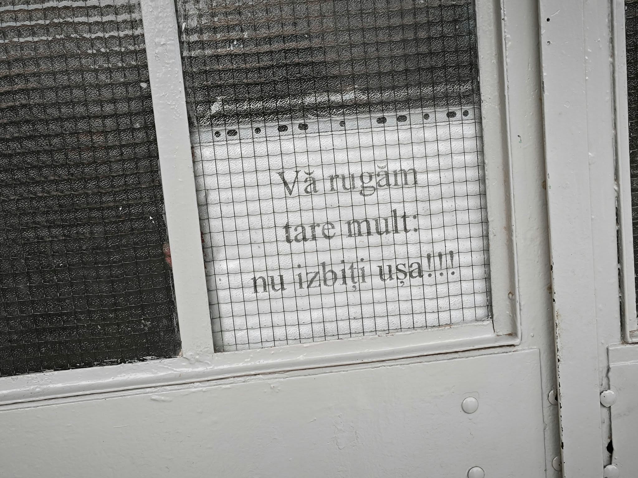 poza zilei 19 octombrie