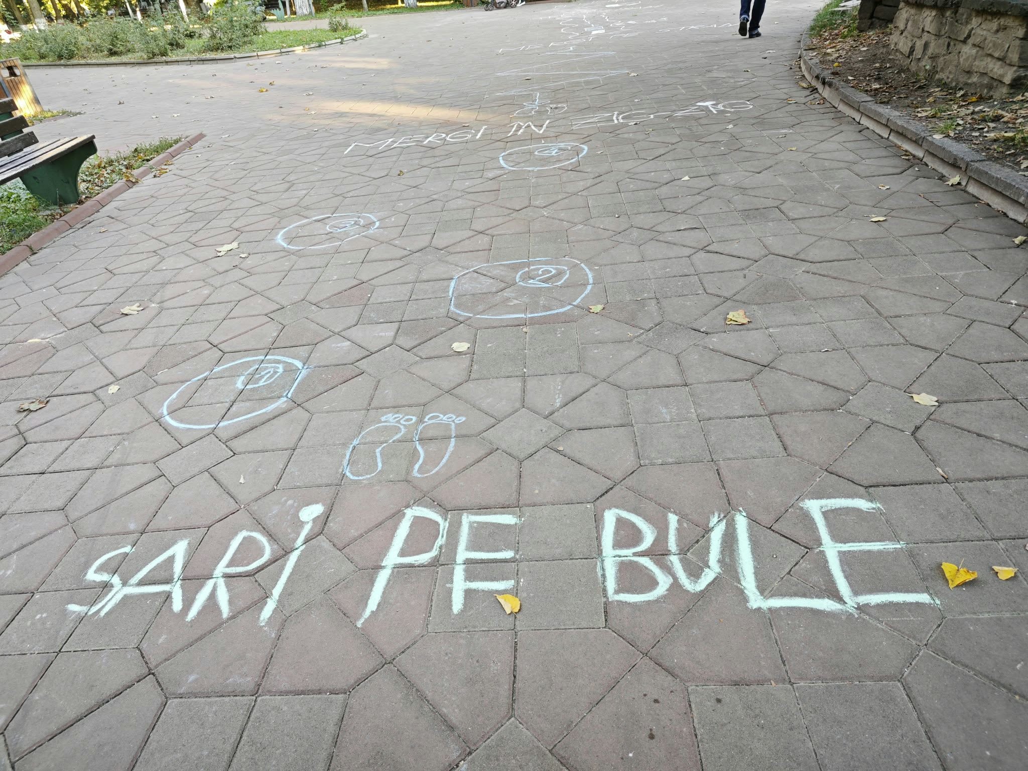 poza zilei 2 octombrie