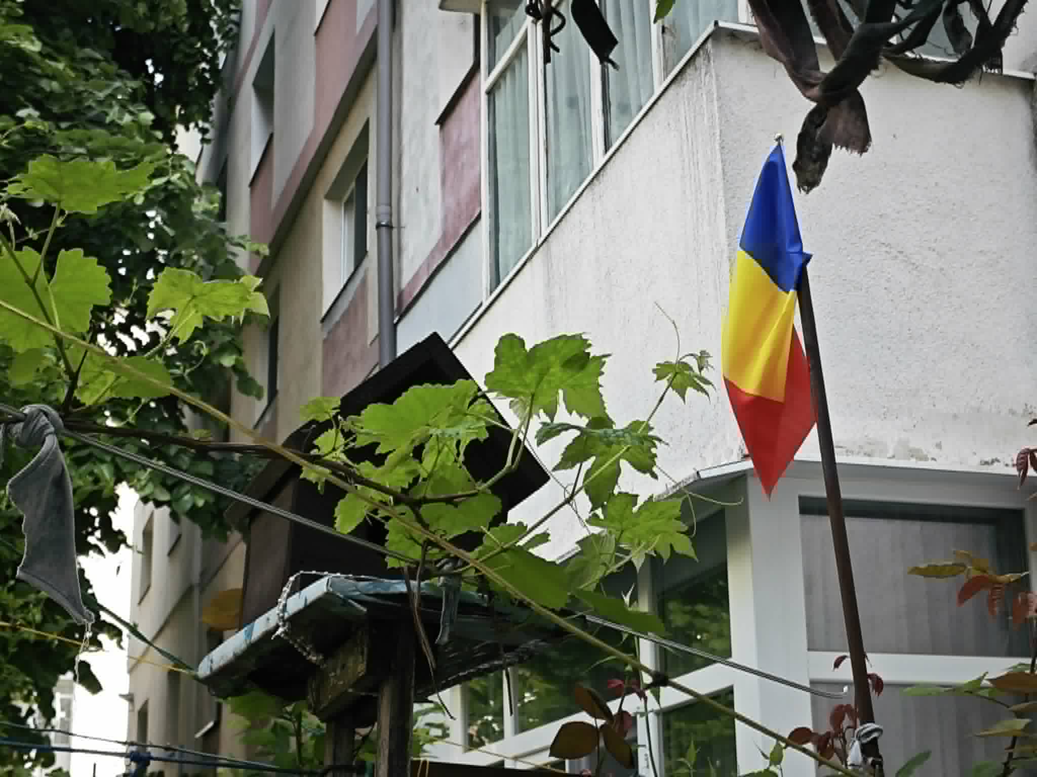 poza zilei 20 mai 2026