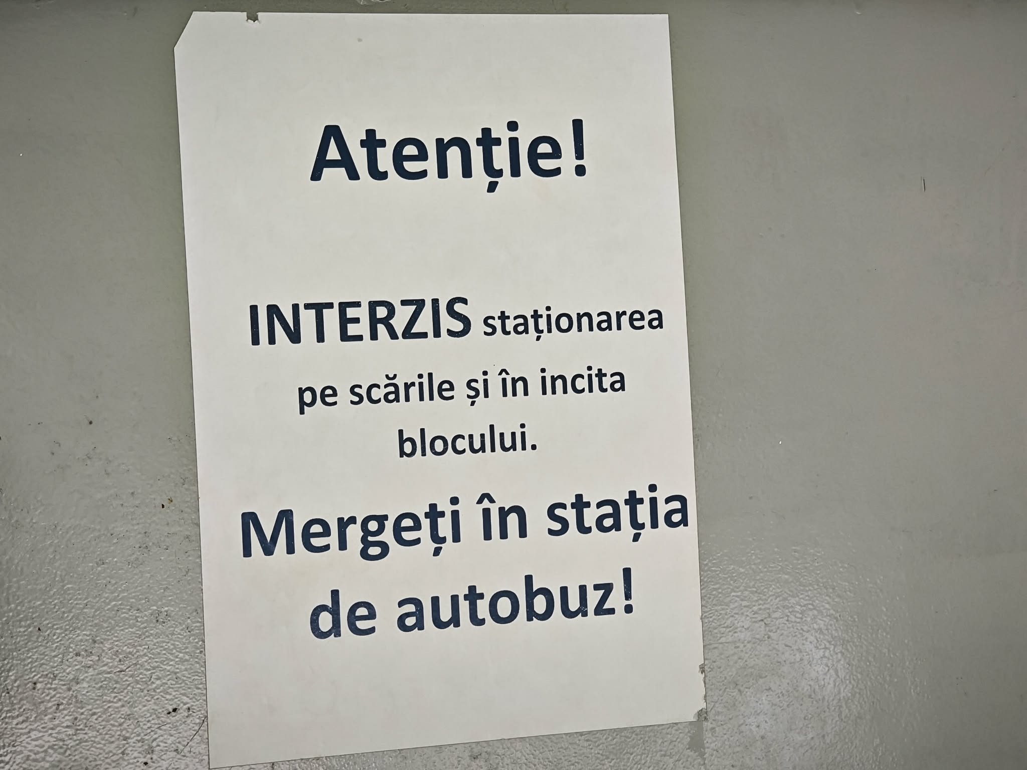 poza zilei 21 mai 2026.
