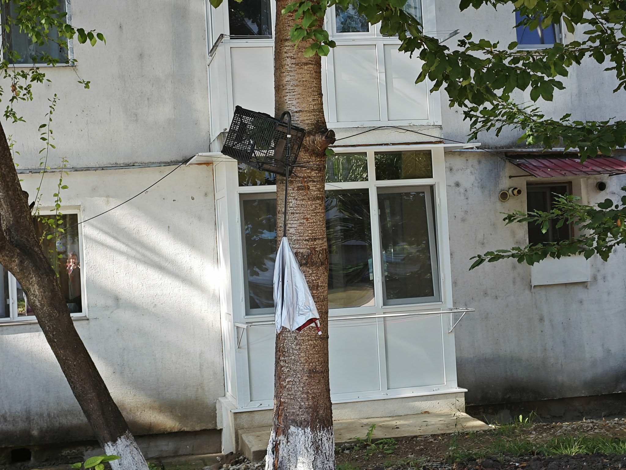 poza zilei 21 septembrie.