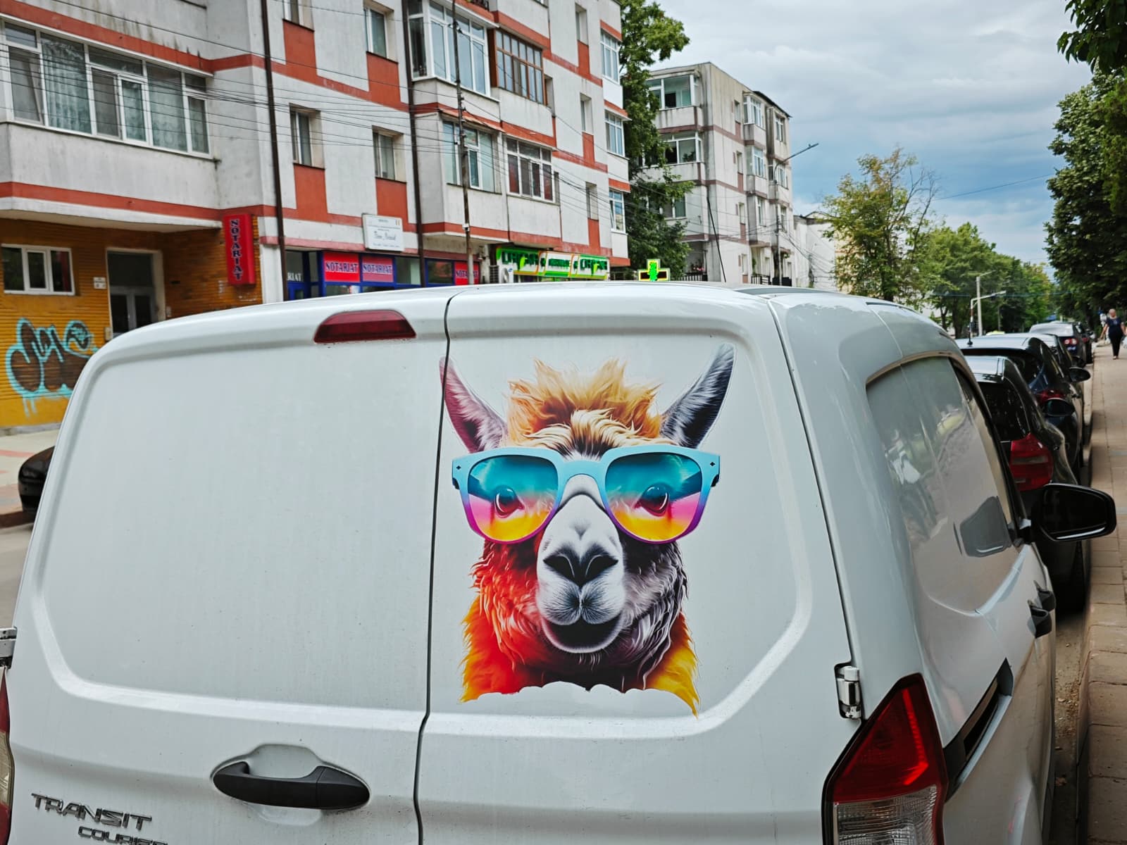 poza zilei 22 iulie