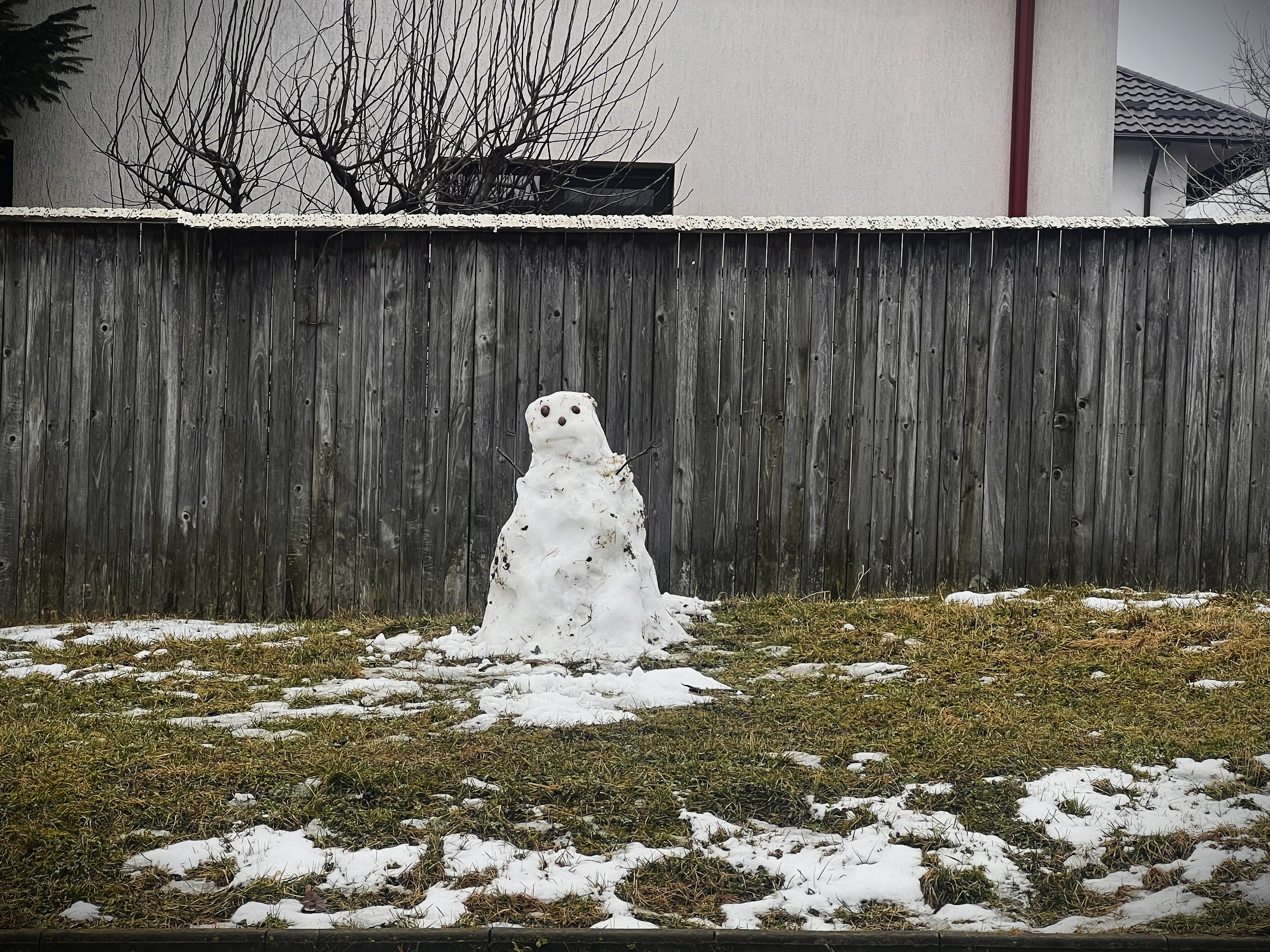 Poza zilei 25 februarie 2026