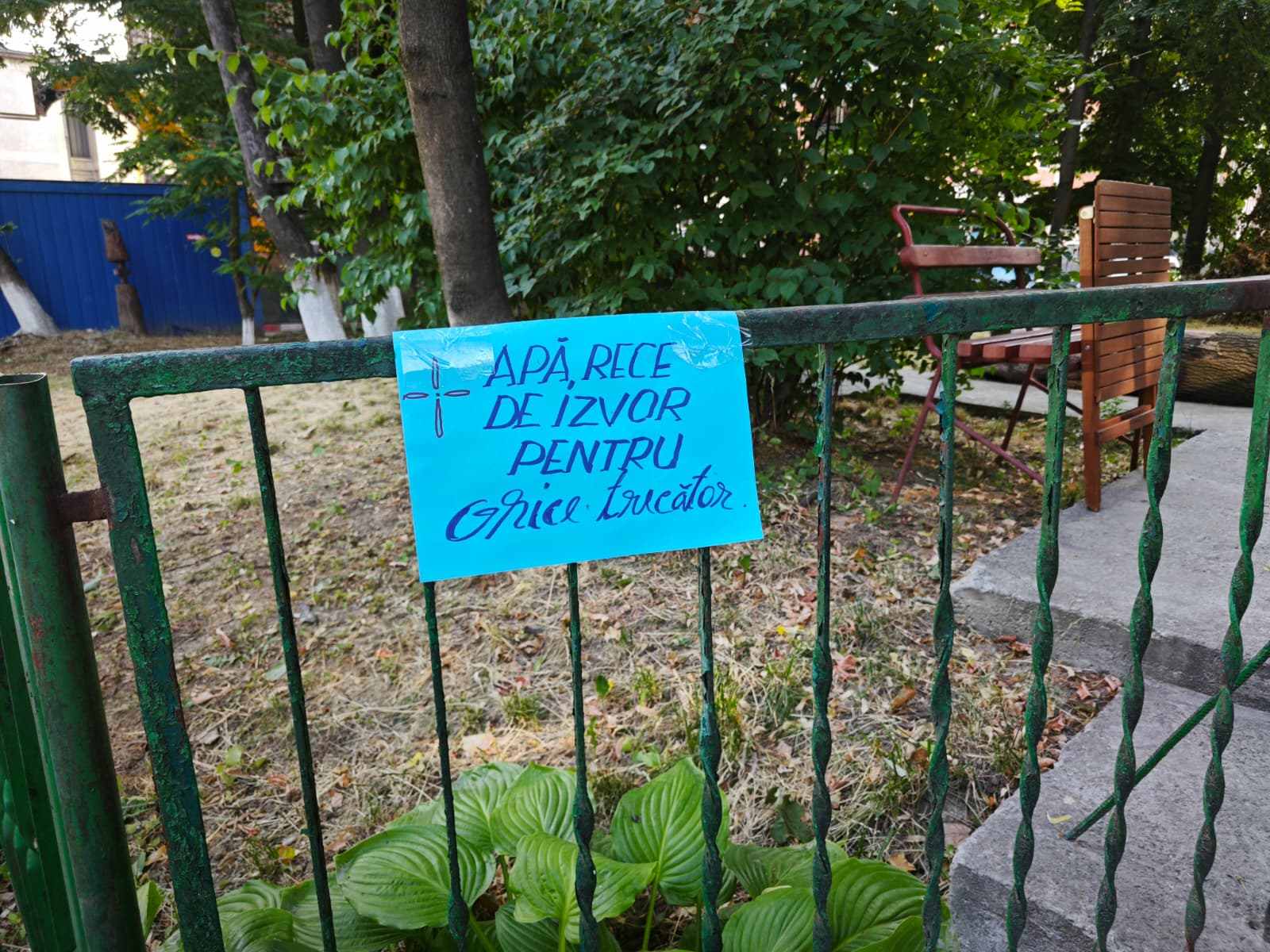 poza zilei 27 iulie