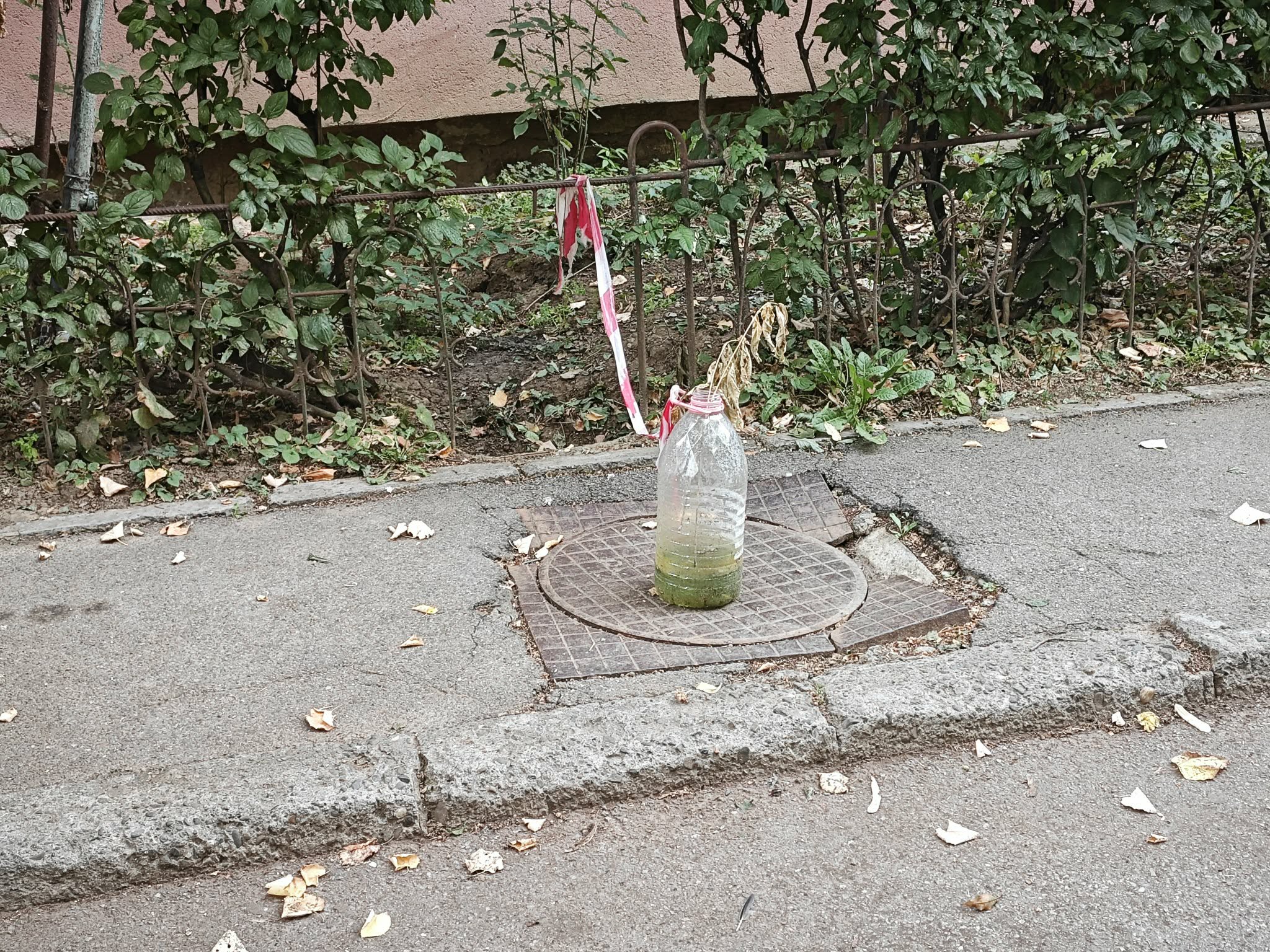 poza zilei 28 august.