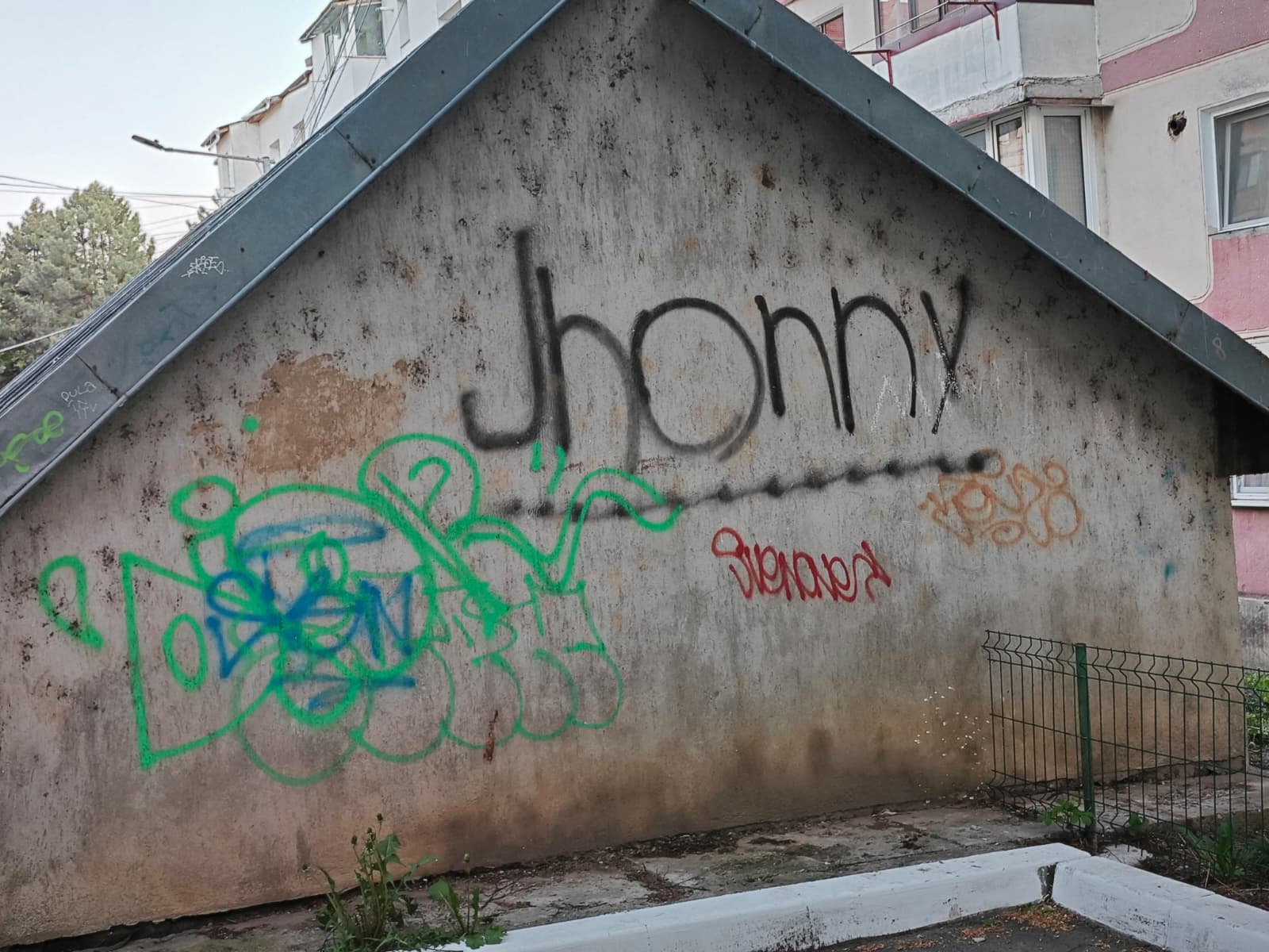 poza zilei 28 iulie 2026