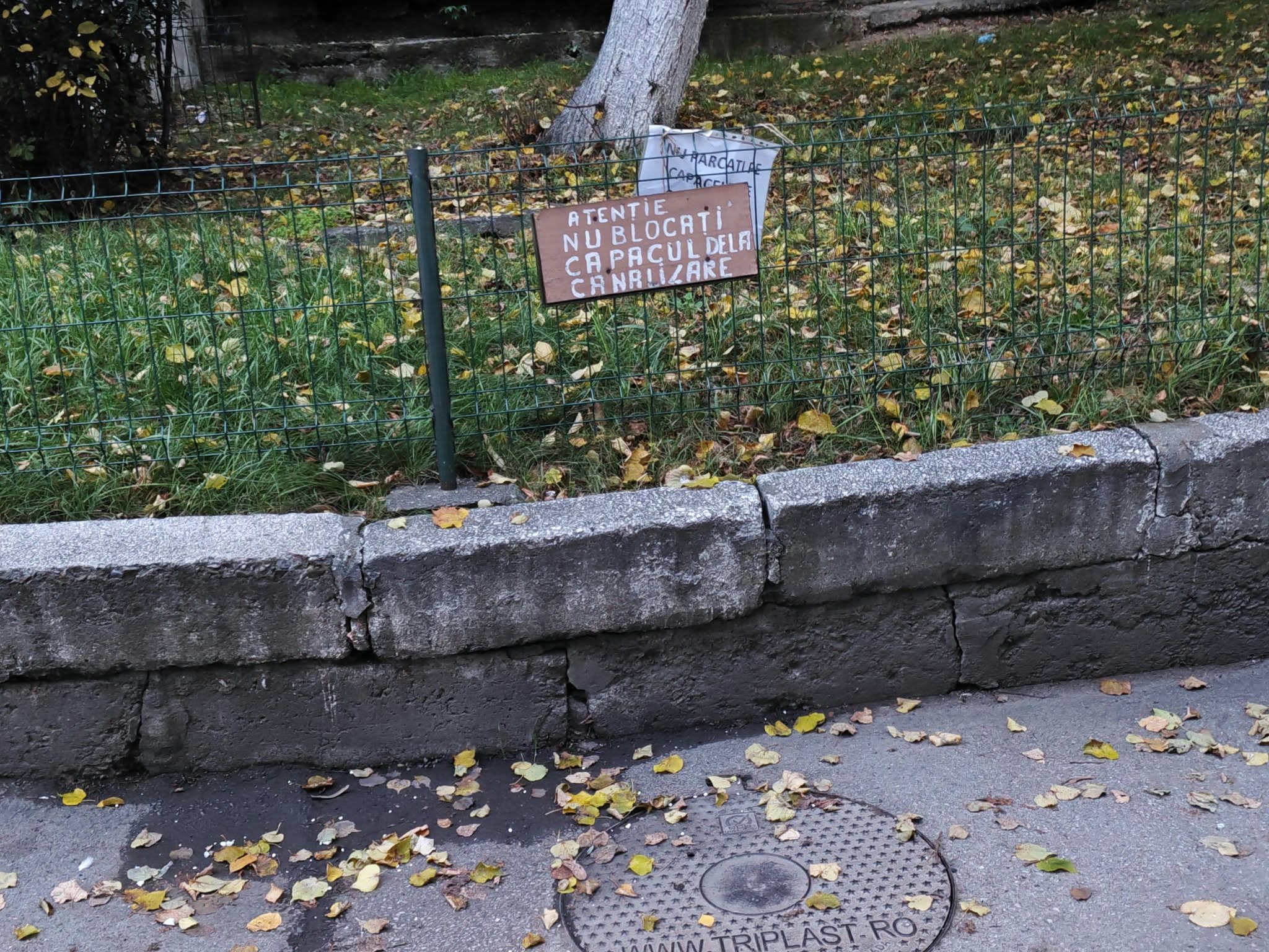 anunt pentru soferi