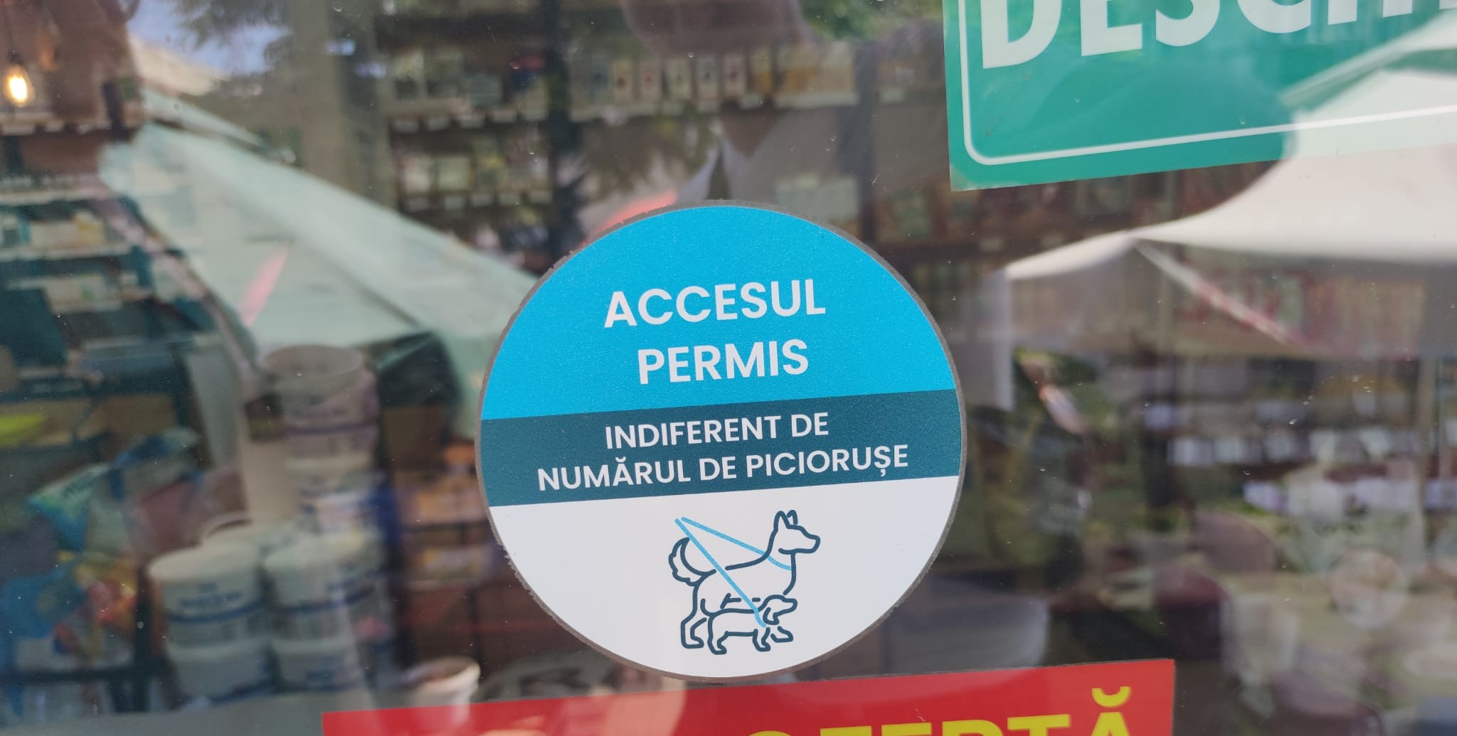 poza zilei 3 iulie.