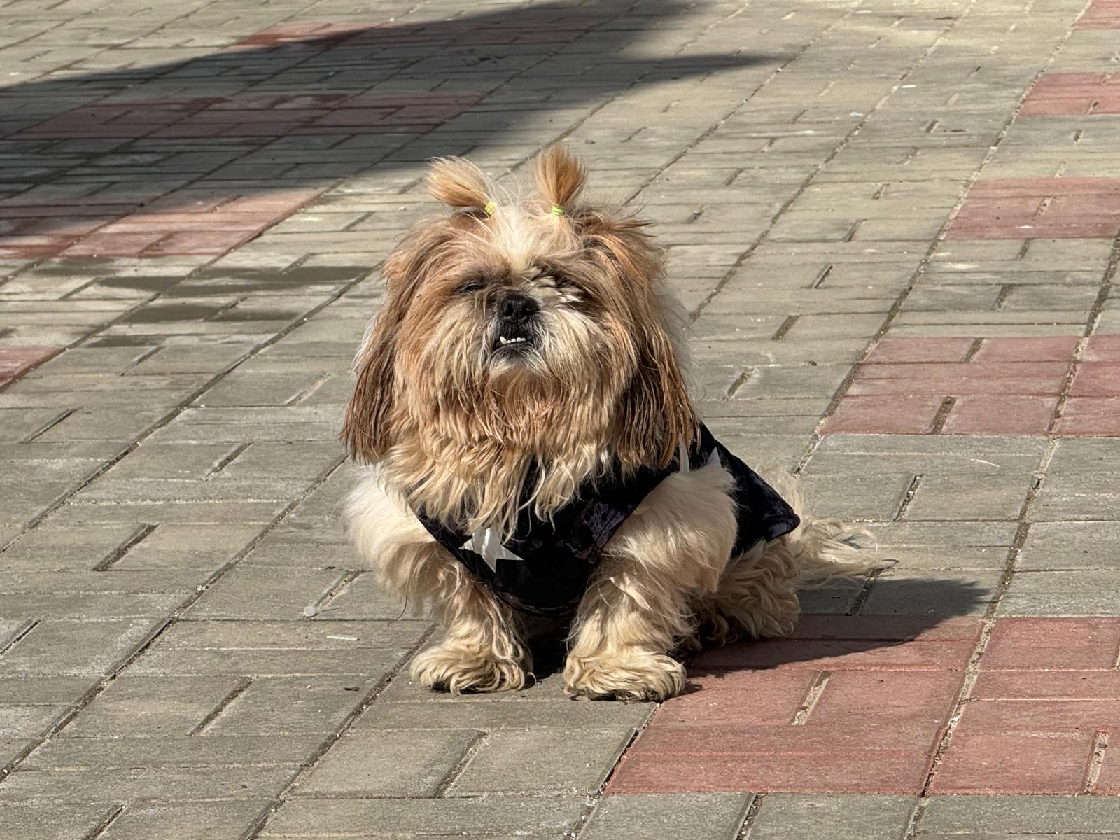 Poza zilei 5 martie 2026