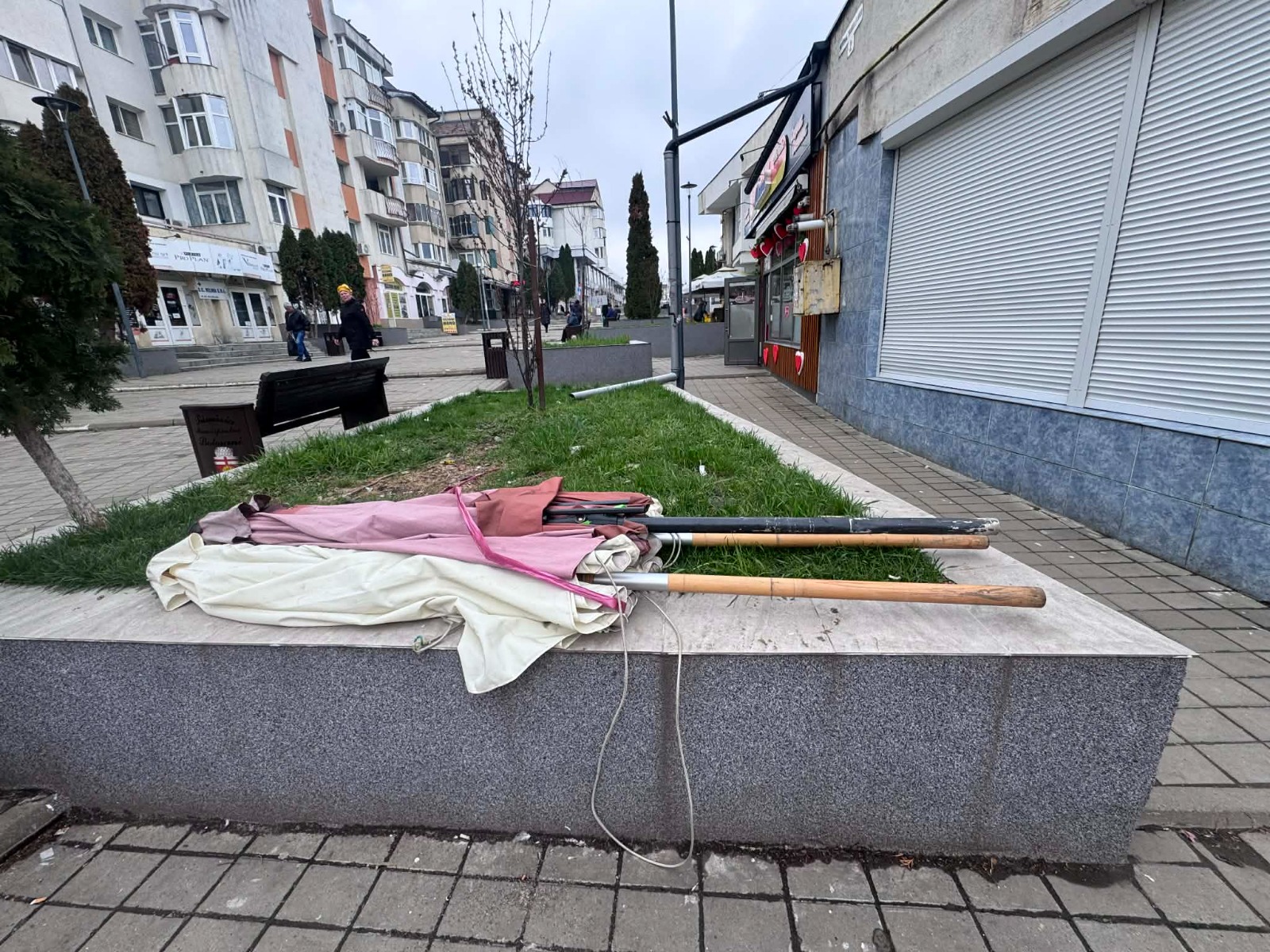 poza zilei 6 aprilie 2026.