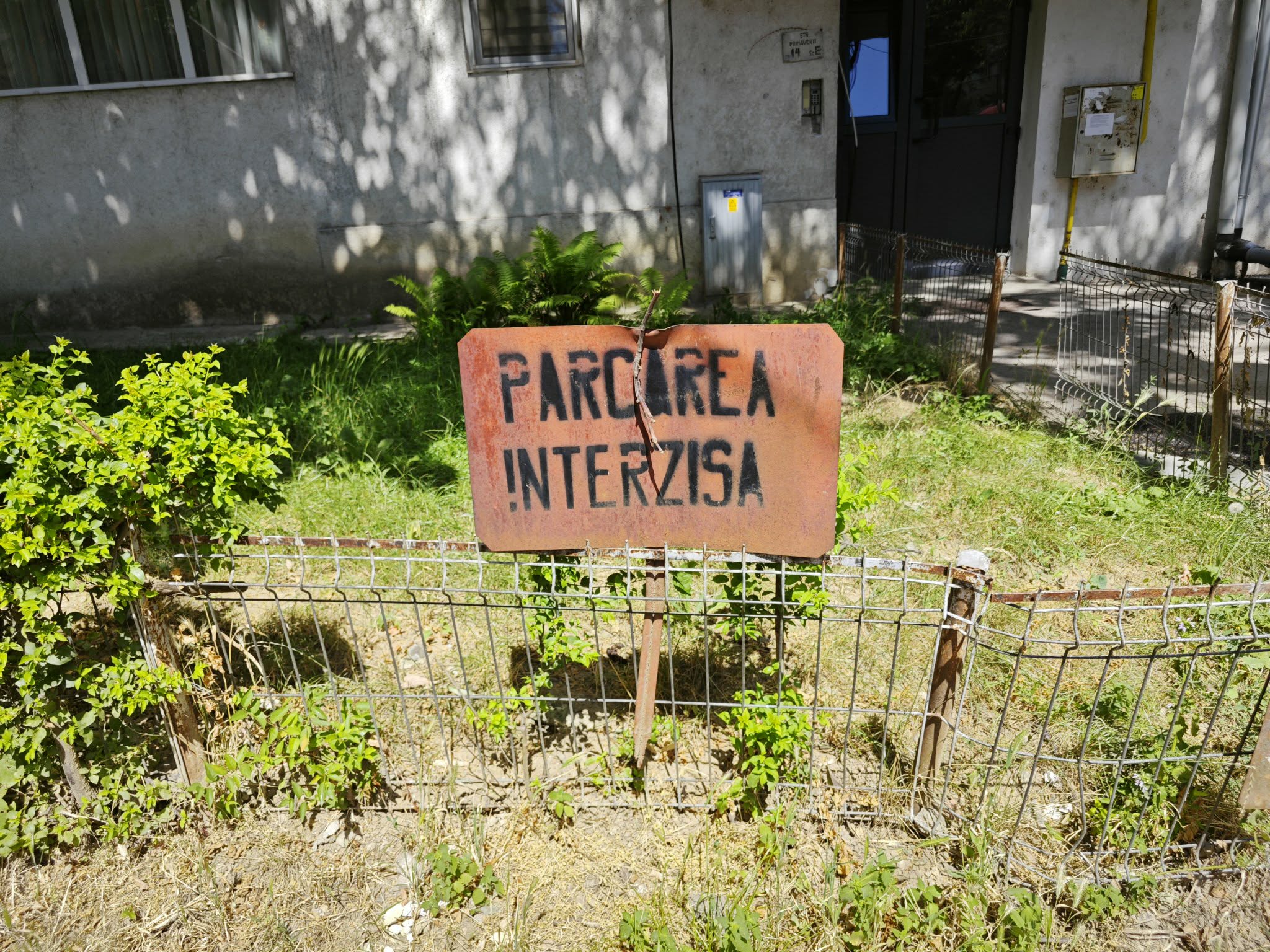 poza zilei 6 iunie
