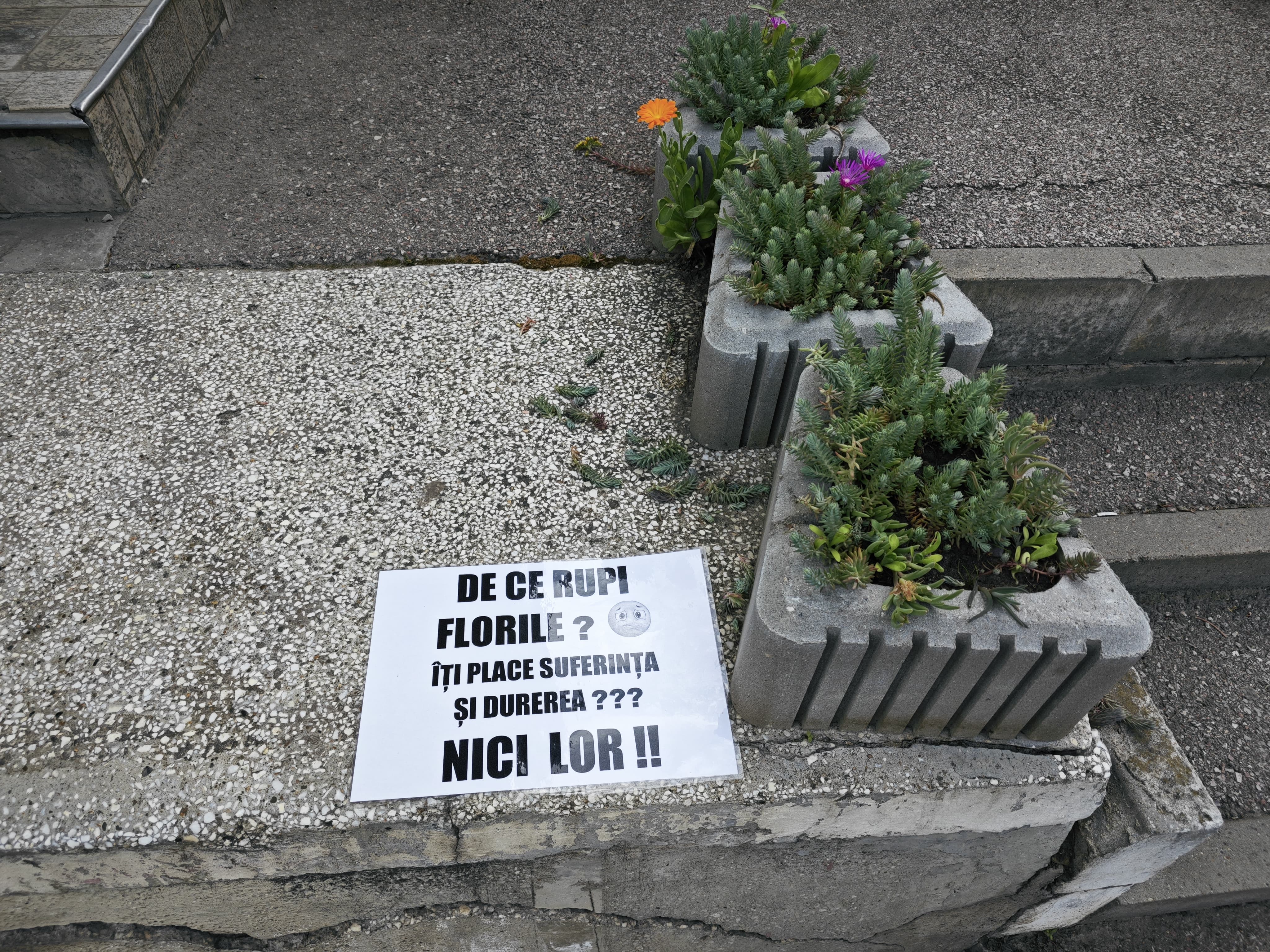 Poza zilei 4 iulie 2025 