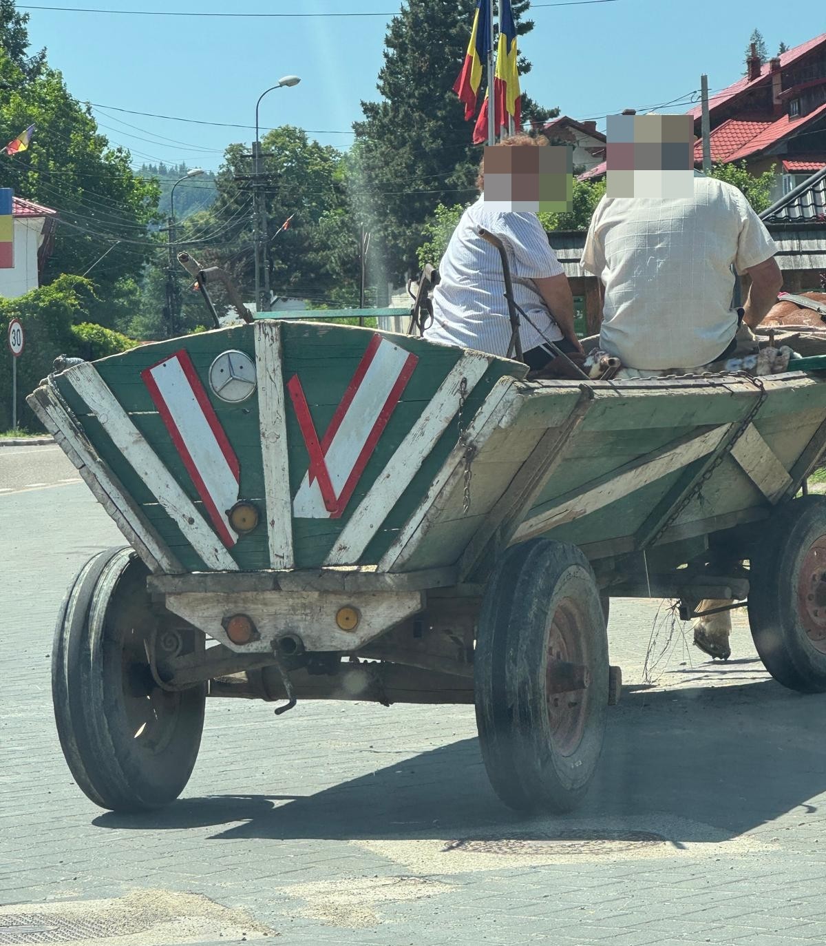 Poza zilei 24 iunie 2025 