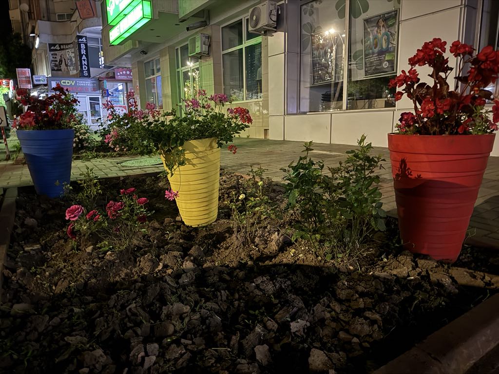 Poza zilei 24 iulie 2025 