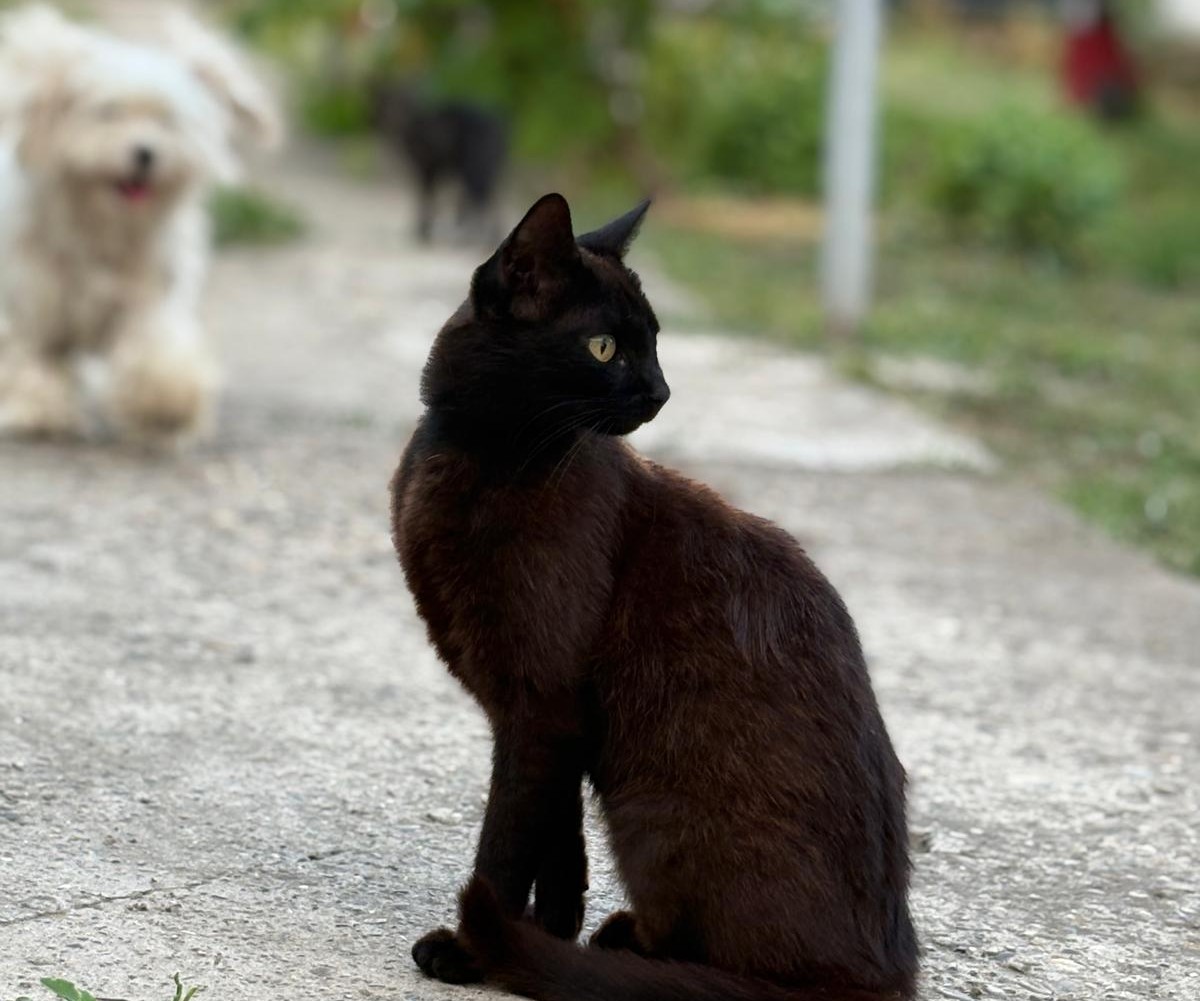 Poza zilei 30 iulie 2025 