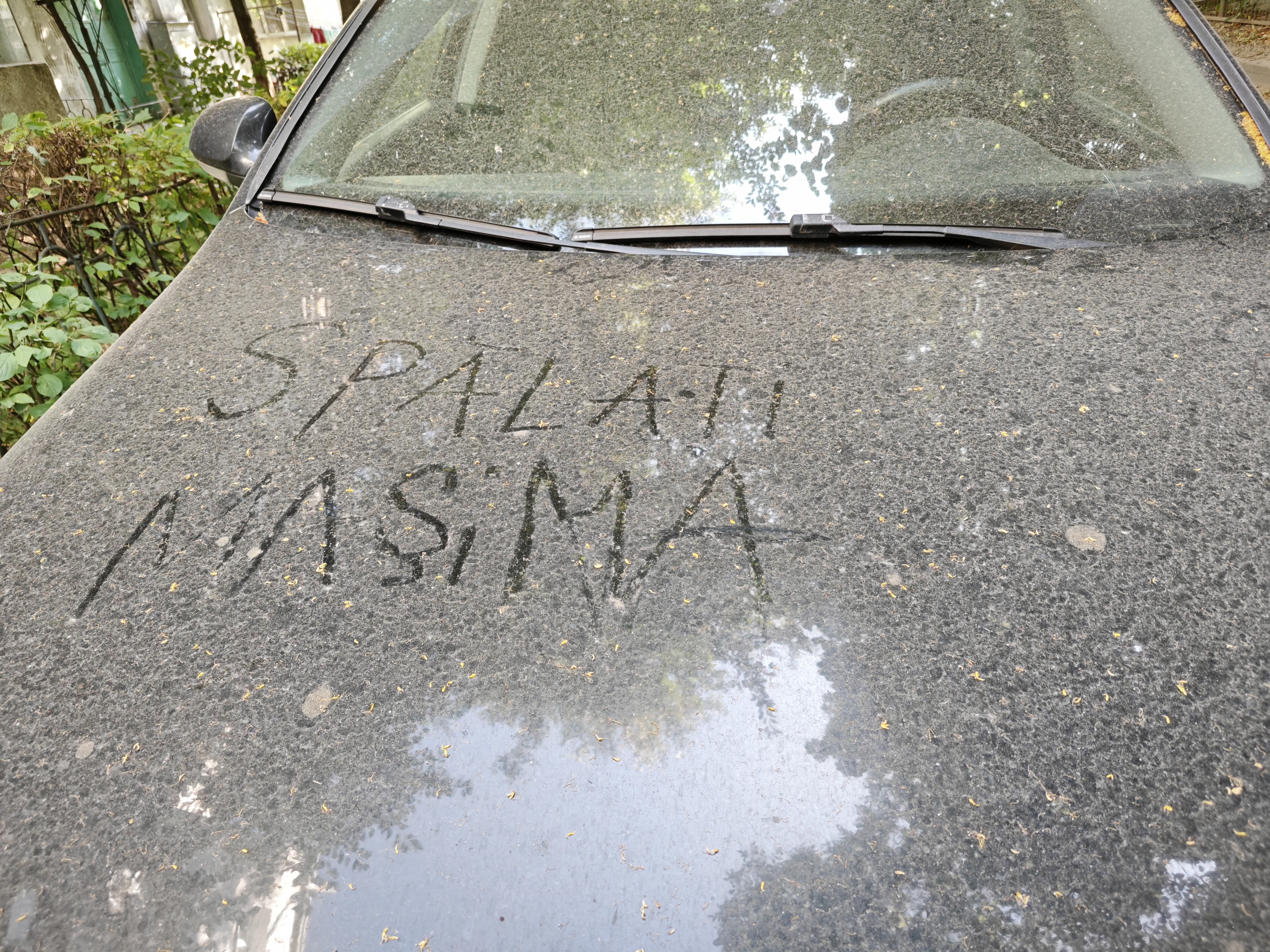 Poza zilei 1 august 2025 