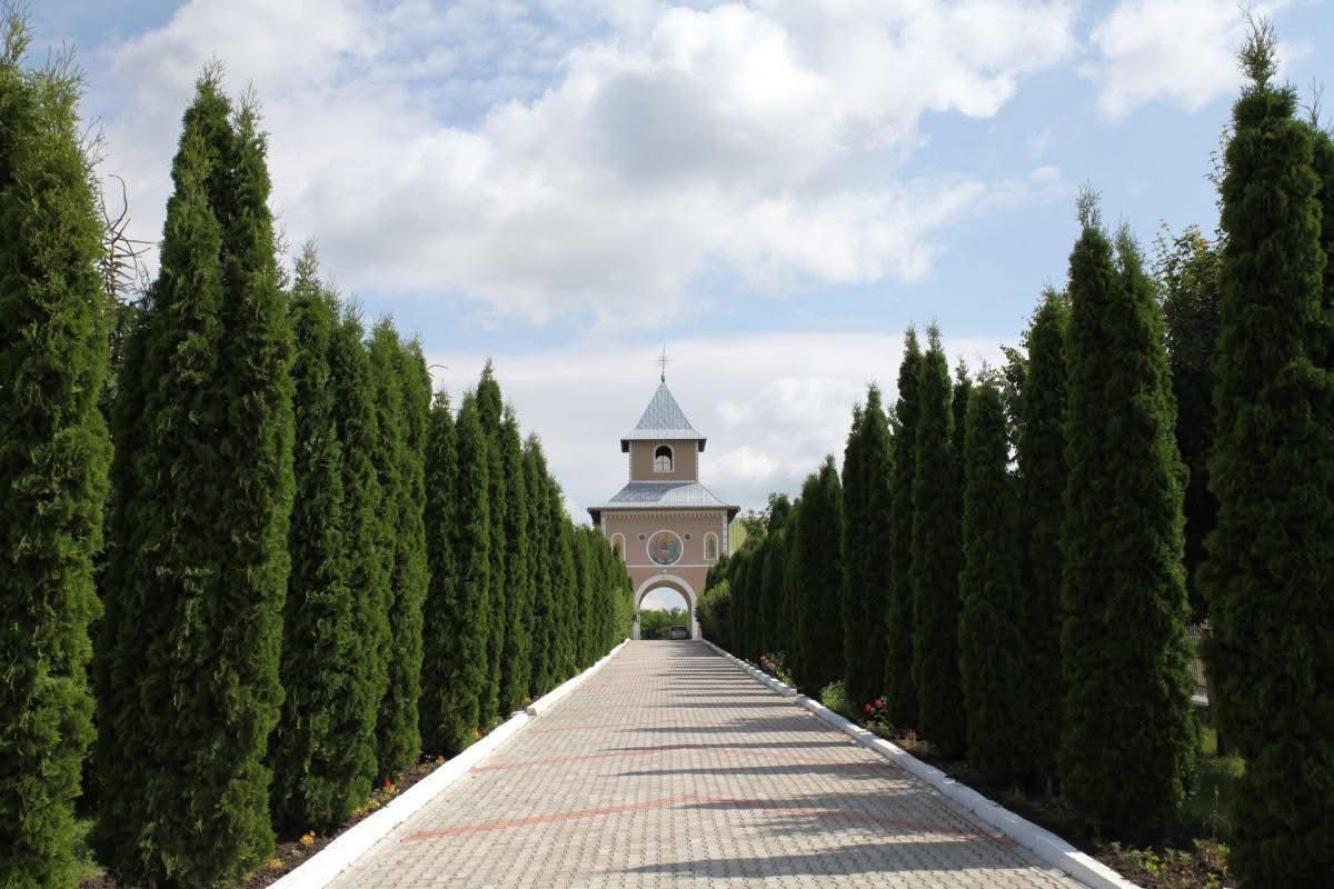 Poza zilei 11 august 2025 