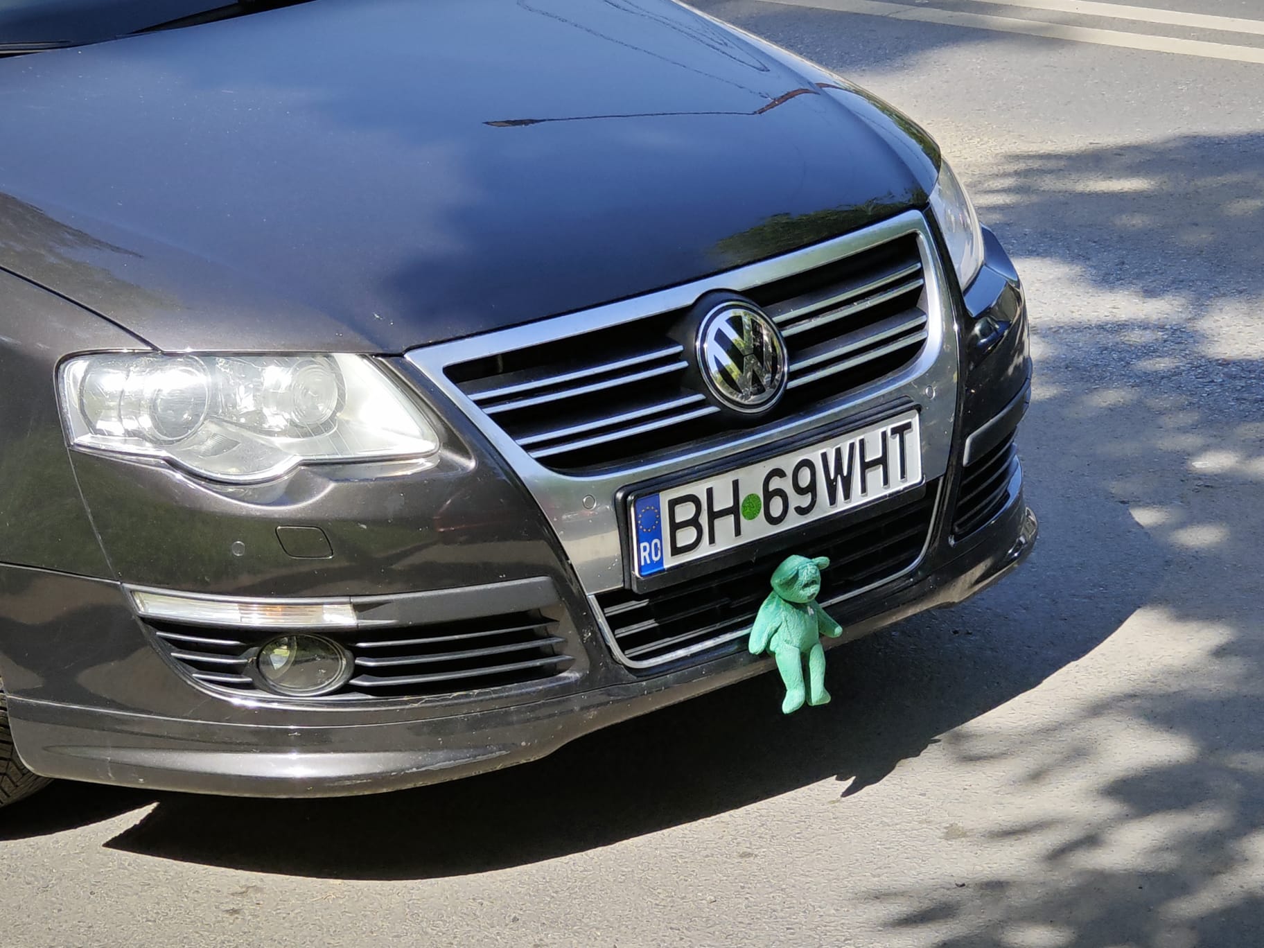 Poza zilei 21 august 2025 