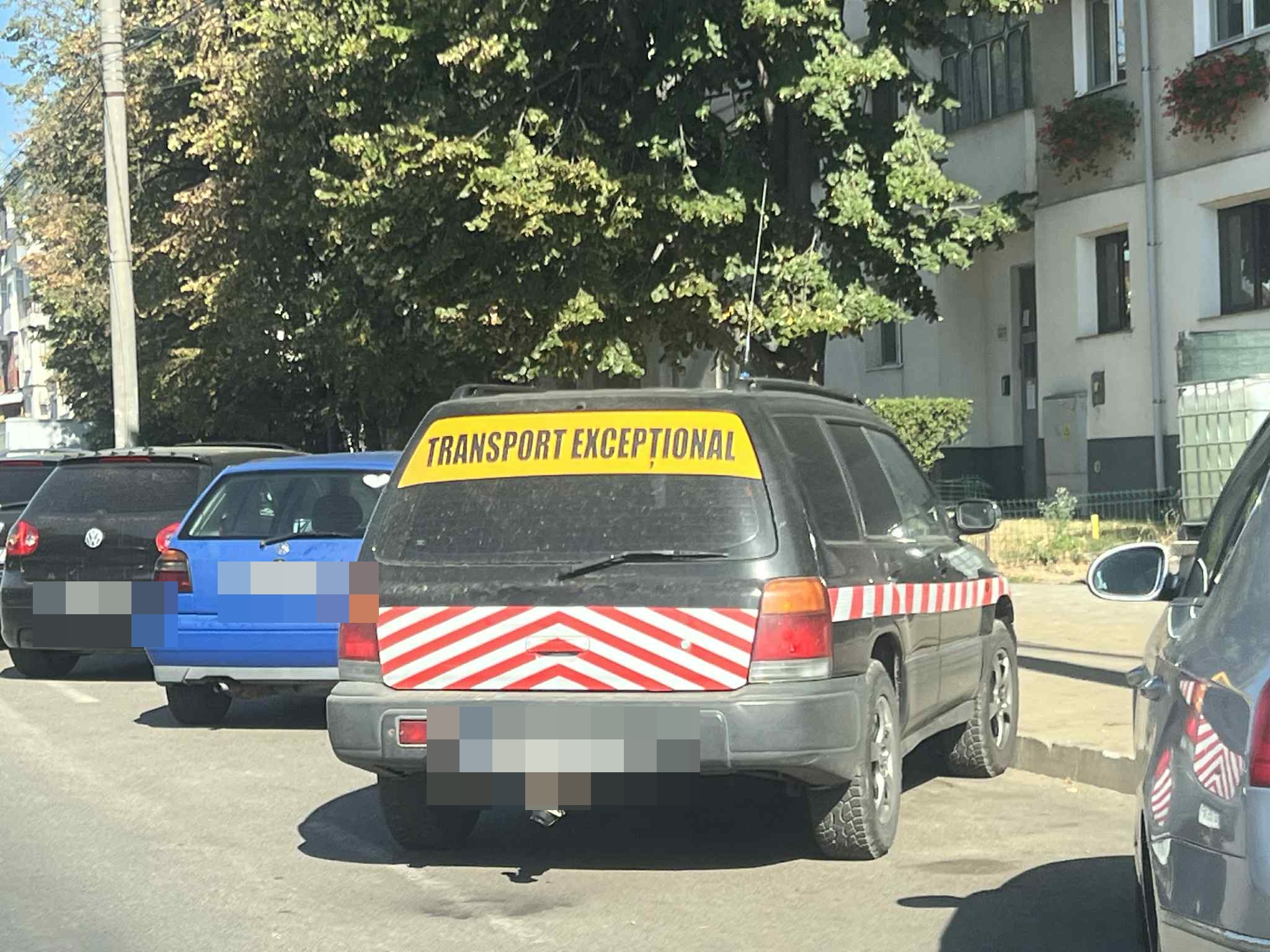 Poza zilei 11 septembrie 2025 