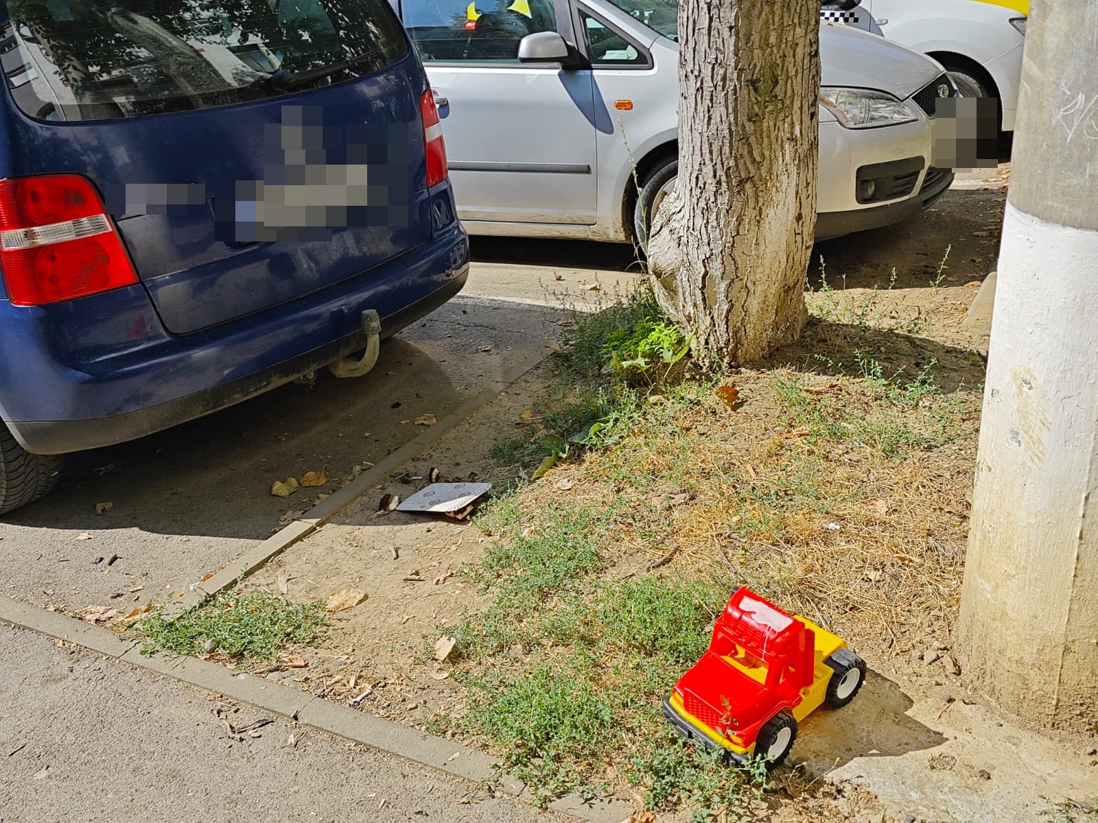 Poza zilei 17 septembrie 2025 