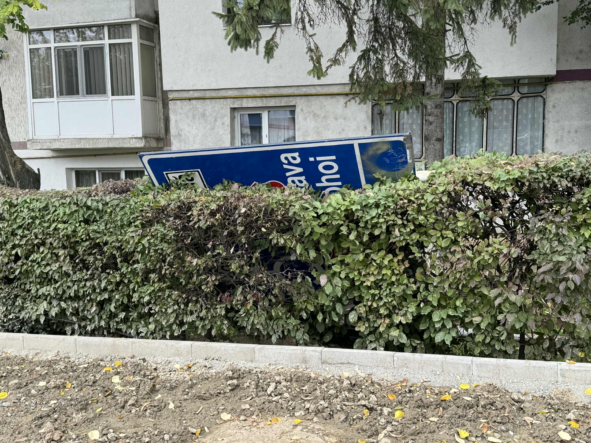 Poza zilei 17 octombrie 2025 