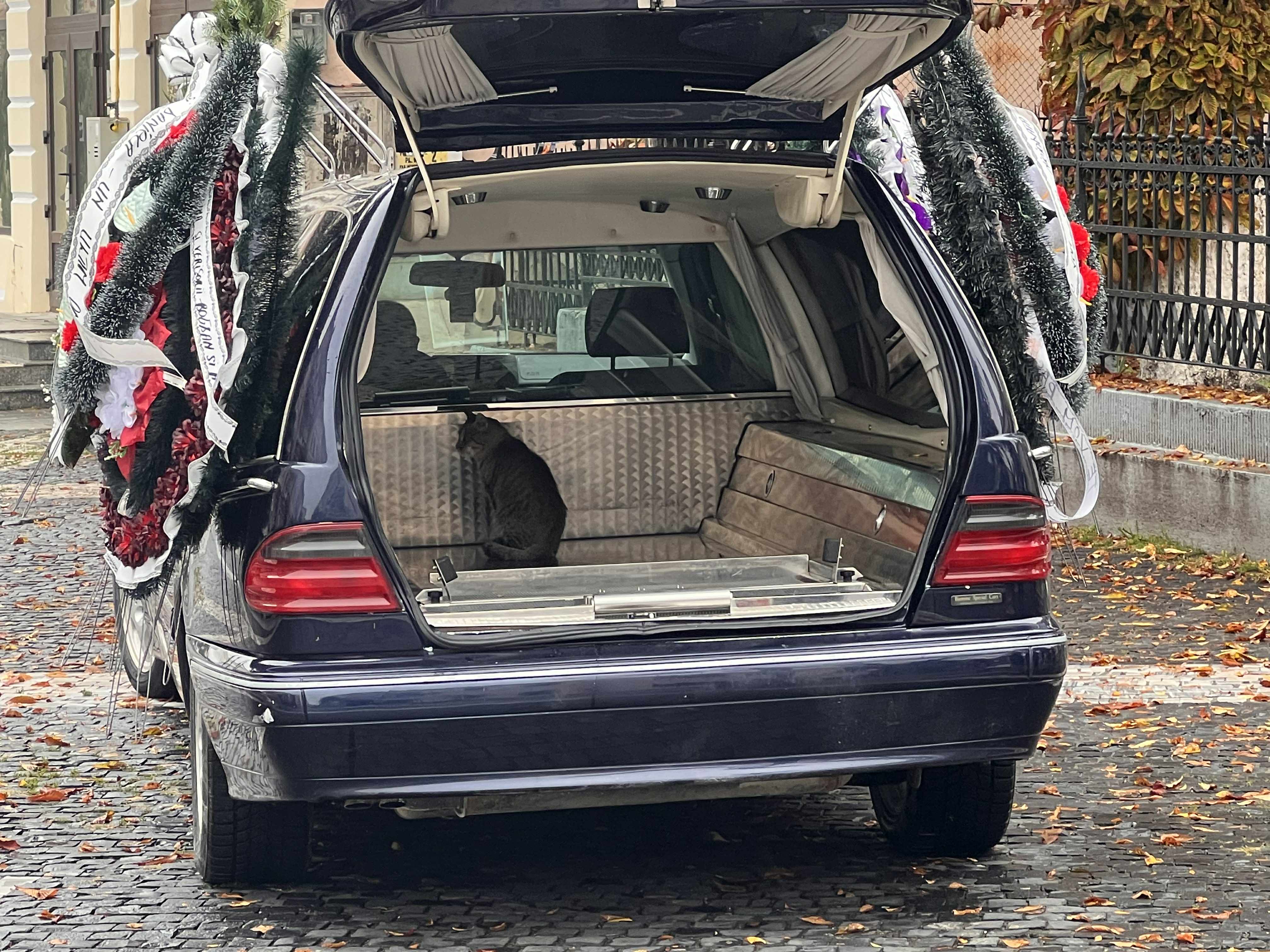 Poza zilei 20 octombrie 2025 