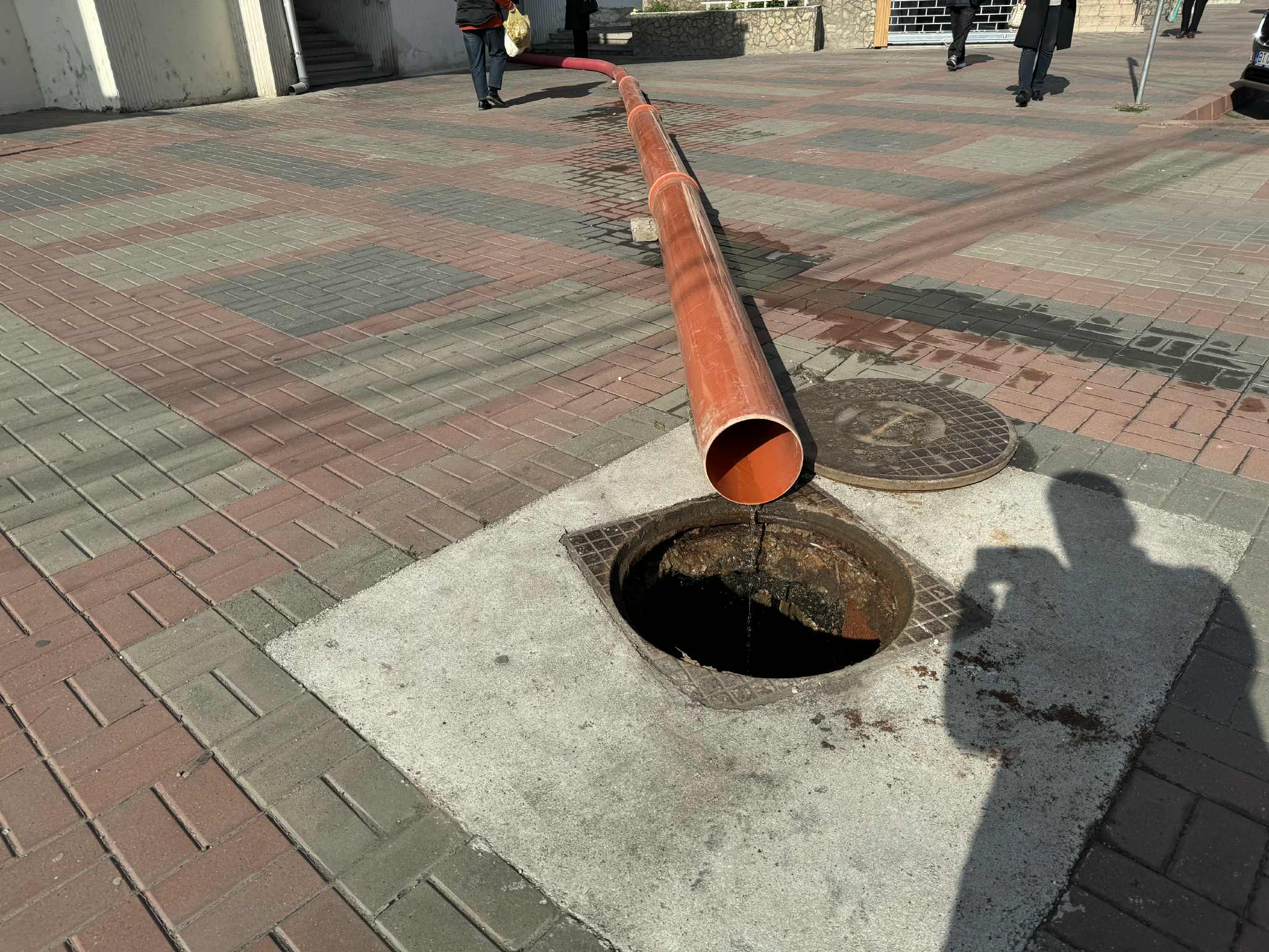 Poza zilei 23 octombrie 2025 