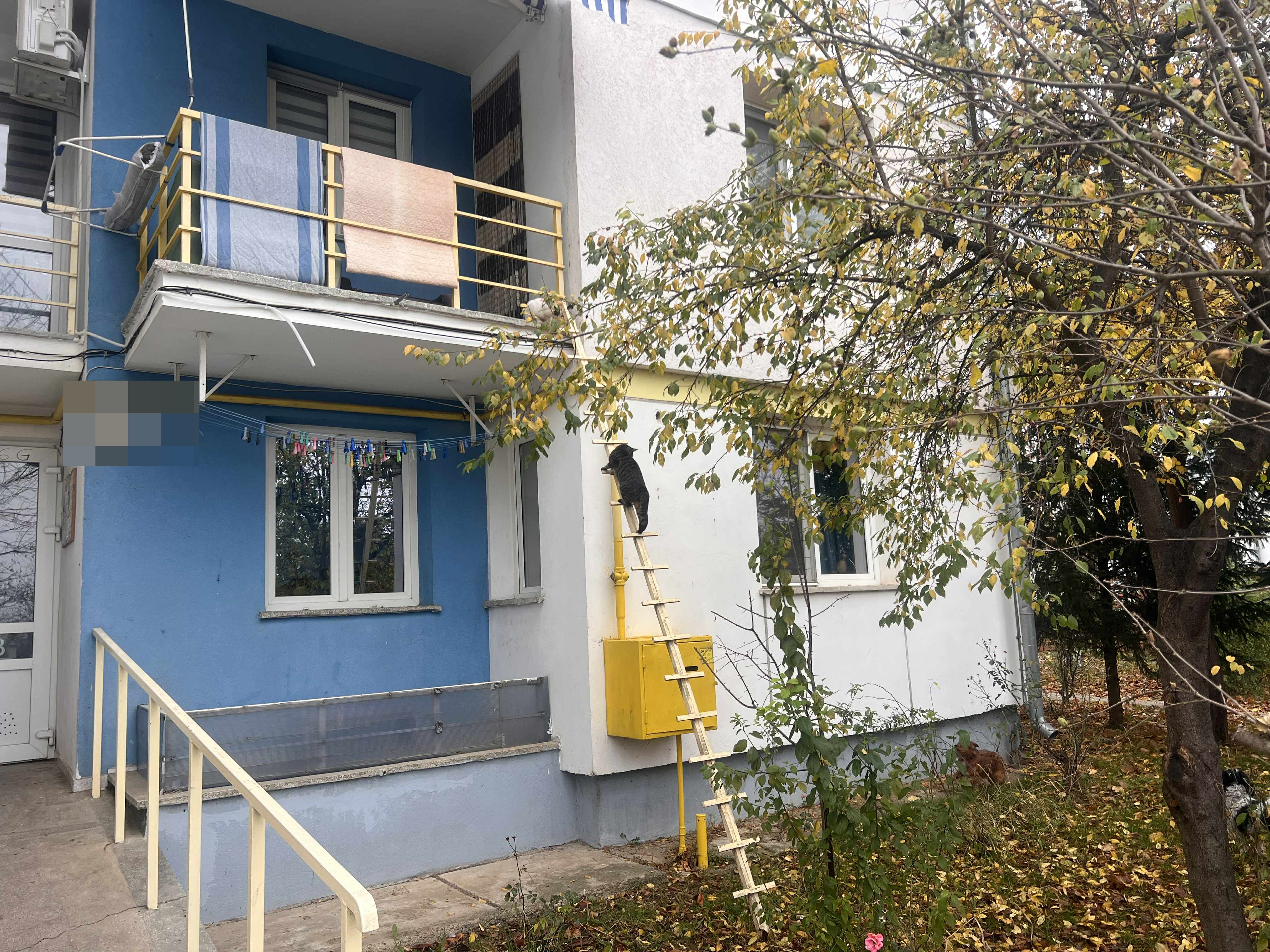 Poza zilei 13 noiembrie 2025 