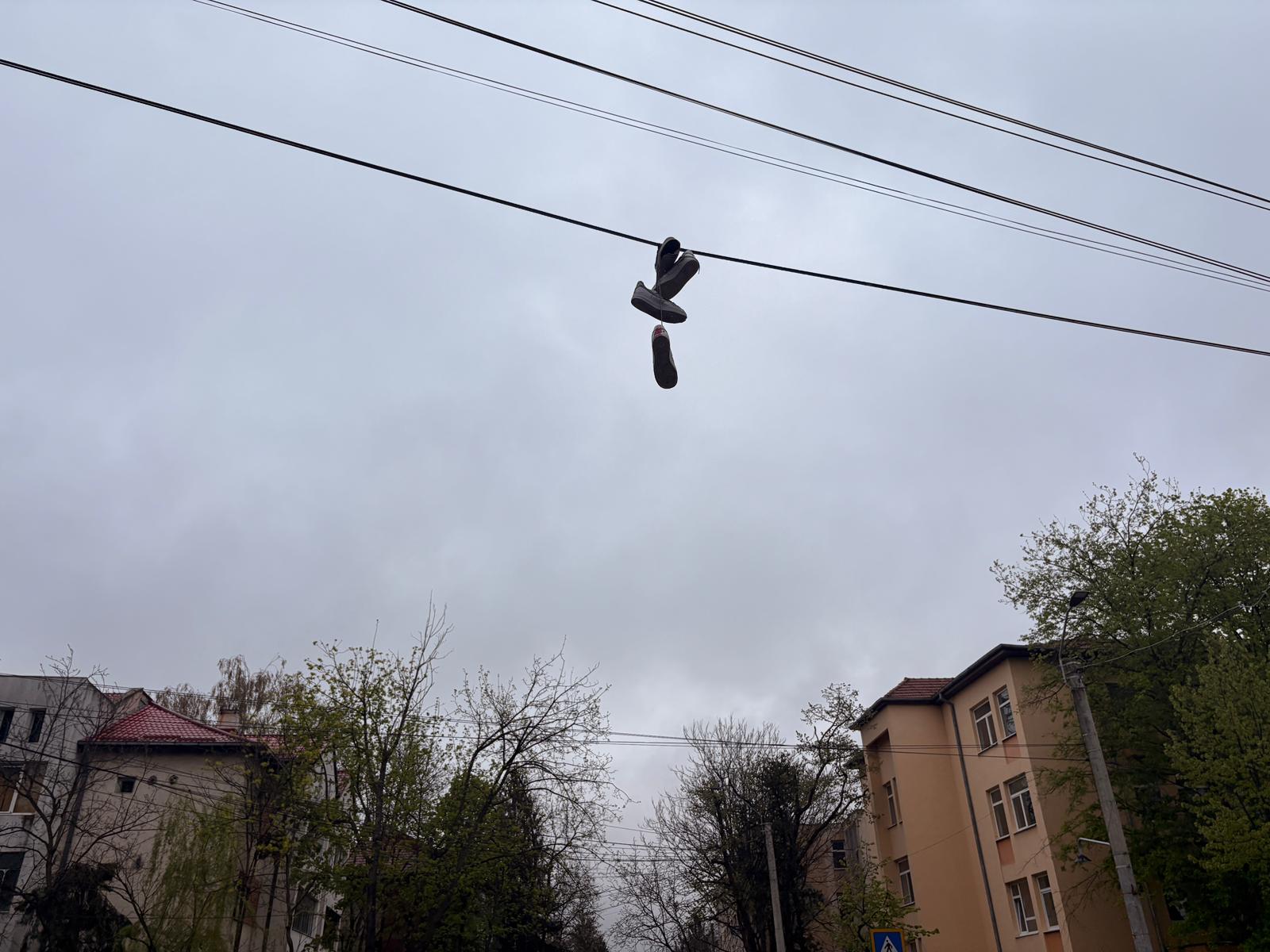 poza zilei botosaneanul