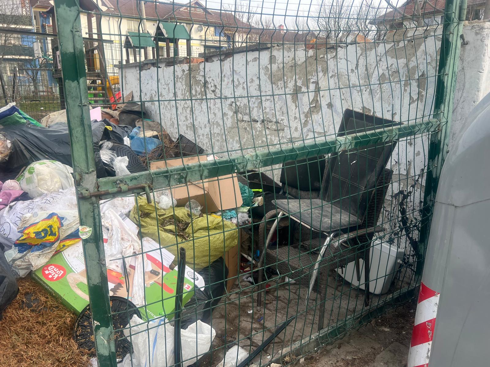 poza zilei botosaneanul