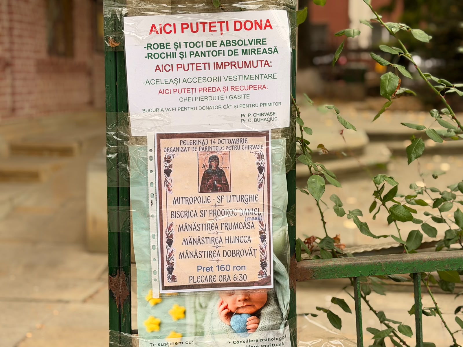 poza zilei botosaneanul
