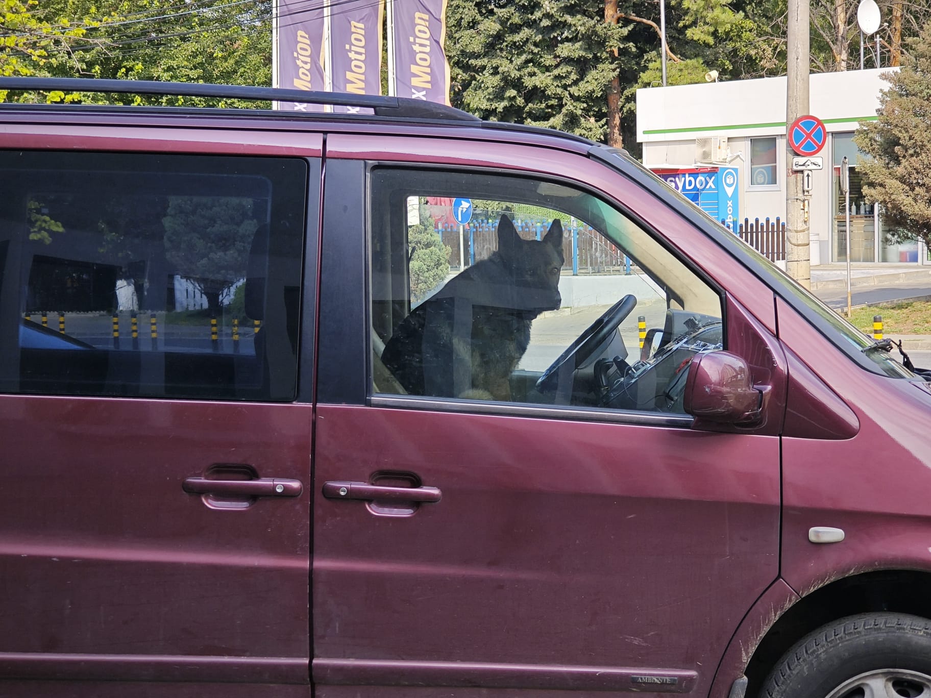 Poza zilei 29 iulie 2024 