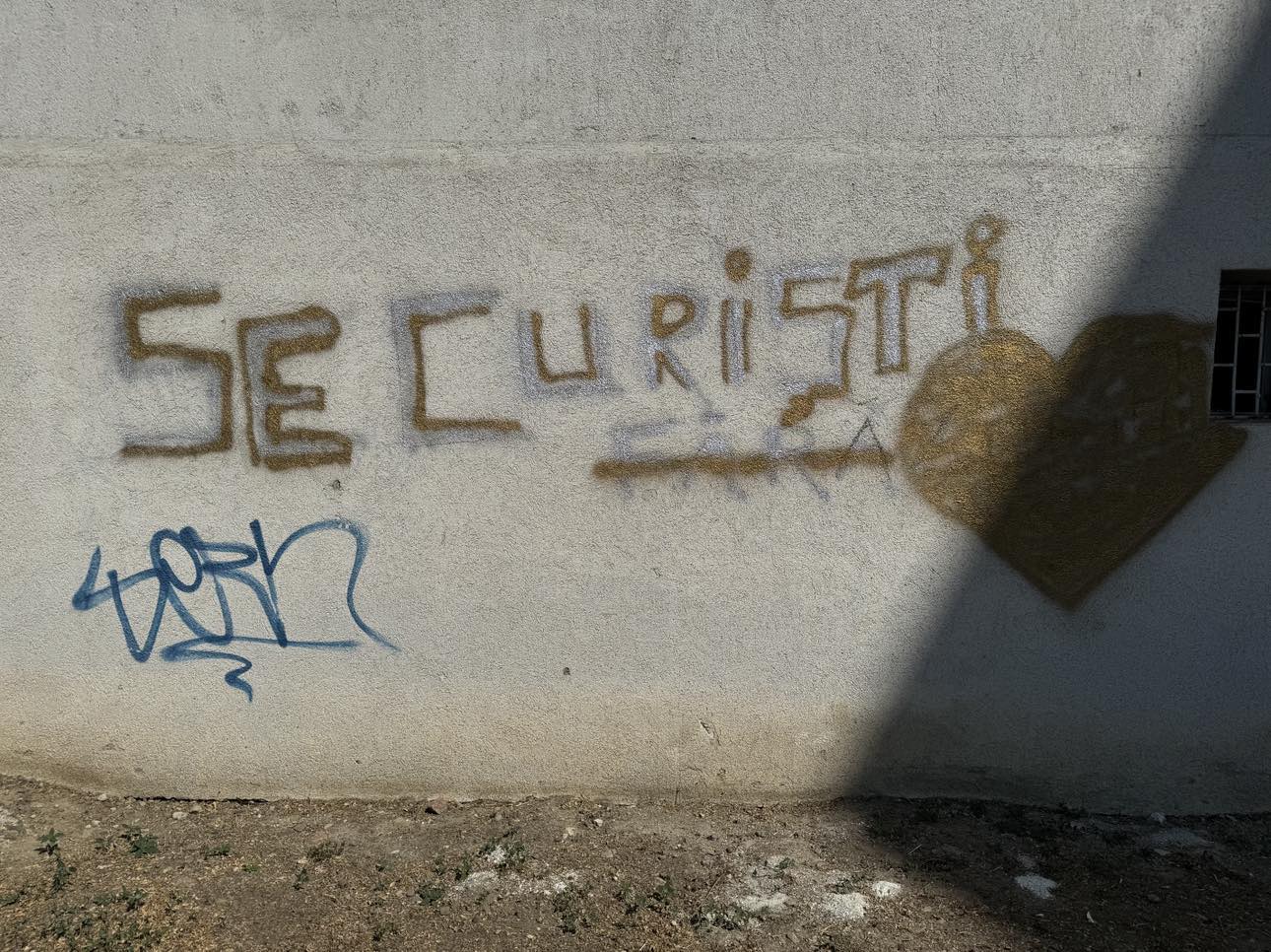 Poza zilei 7 august 2024 