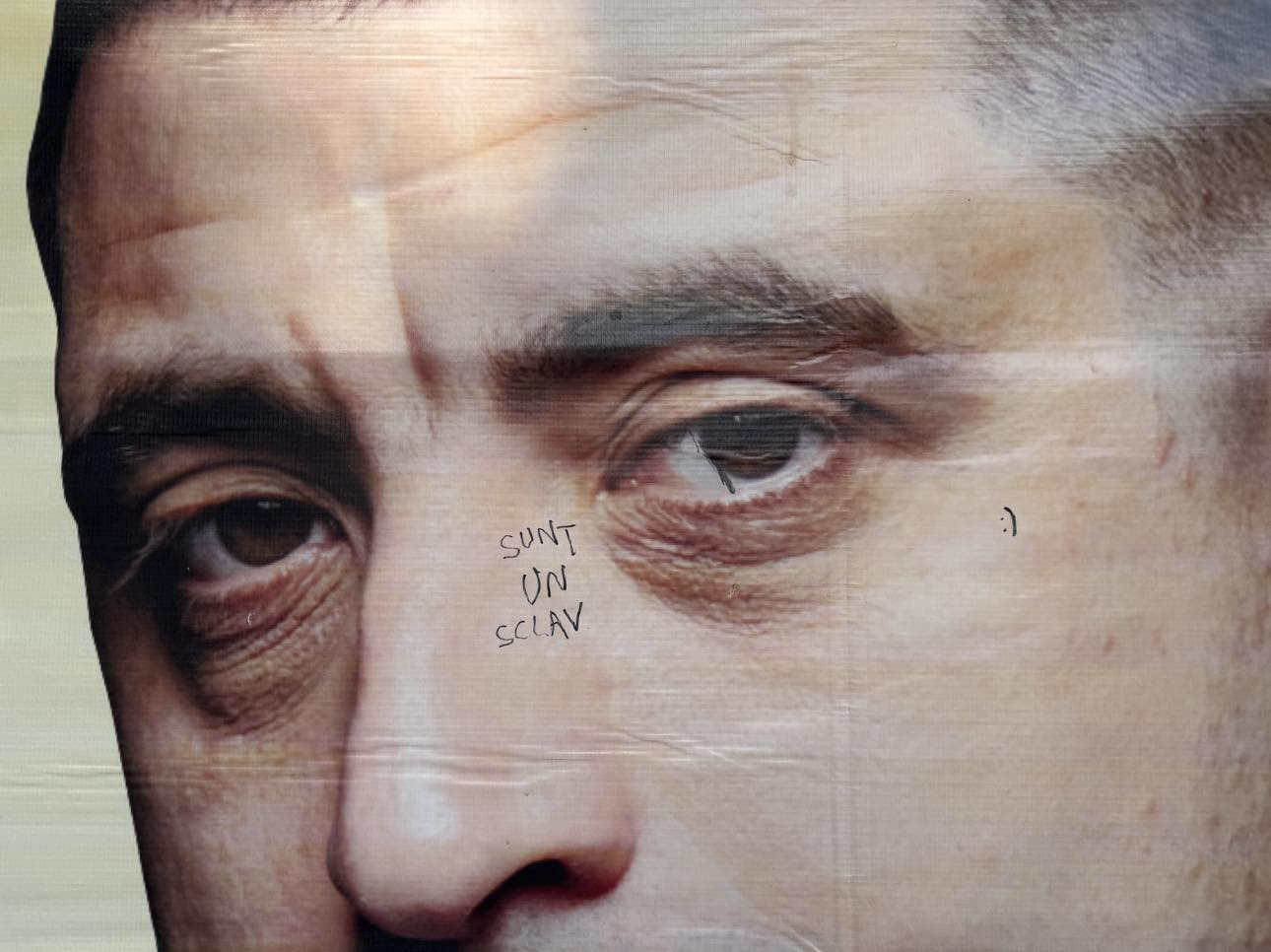 Poza zilei 12 august 2024 