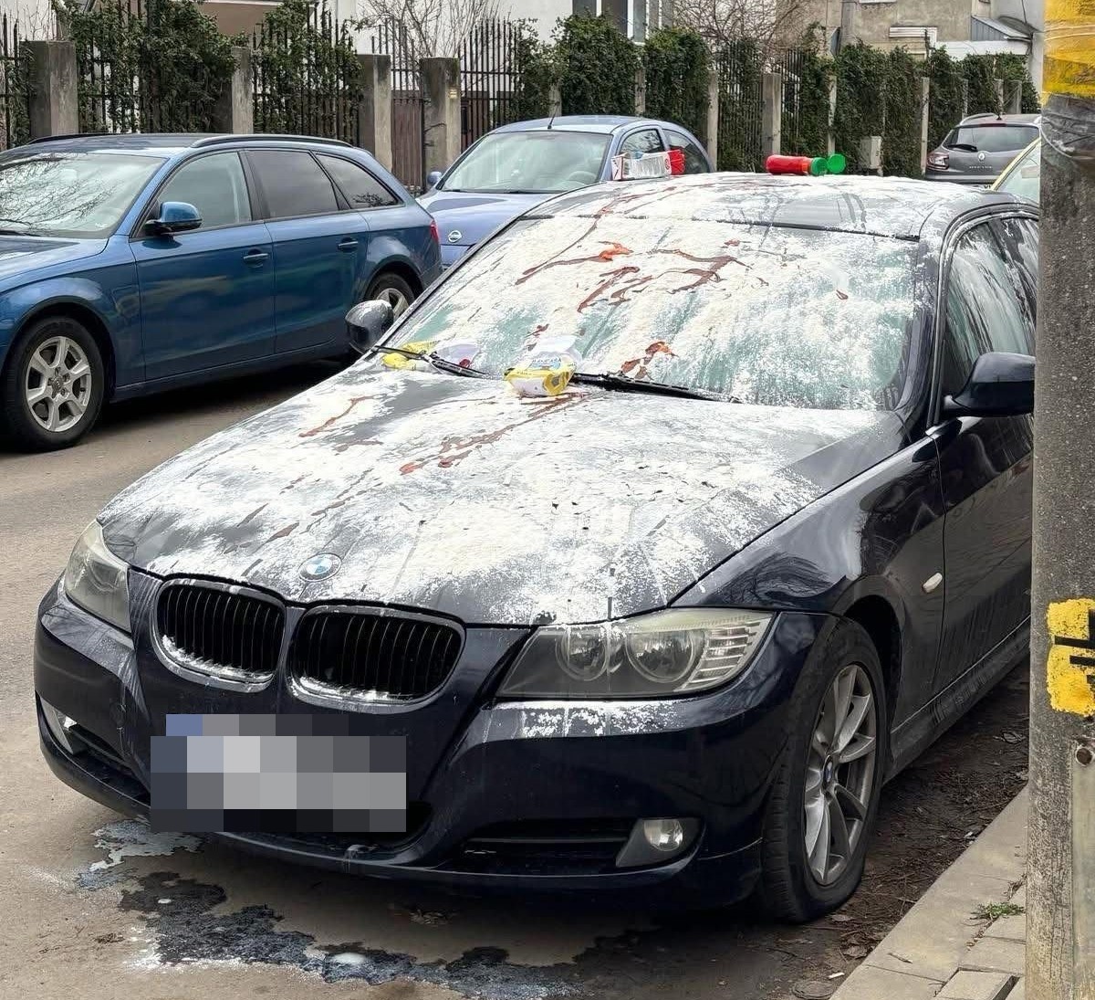 Poza zilei 21 martie 2025 