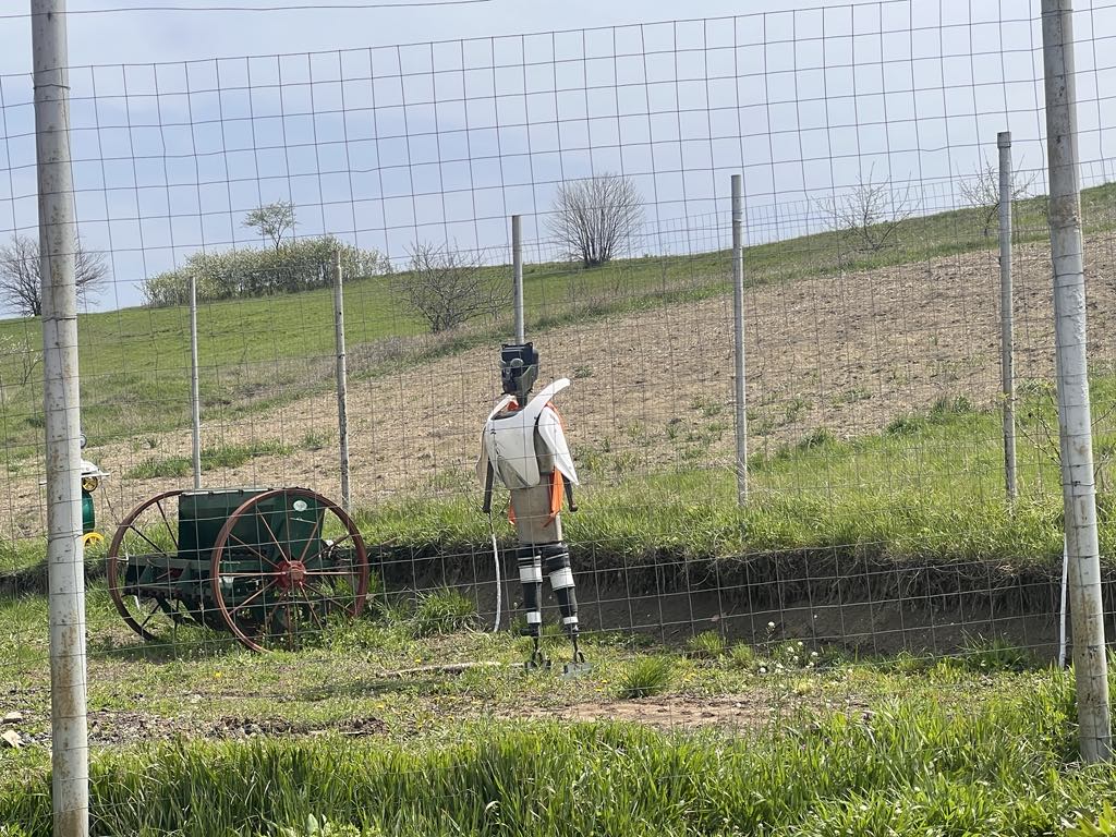 Poza zilei 30 aprilie 2025 