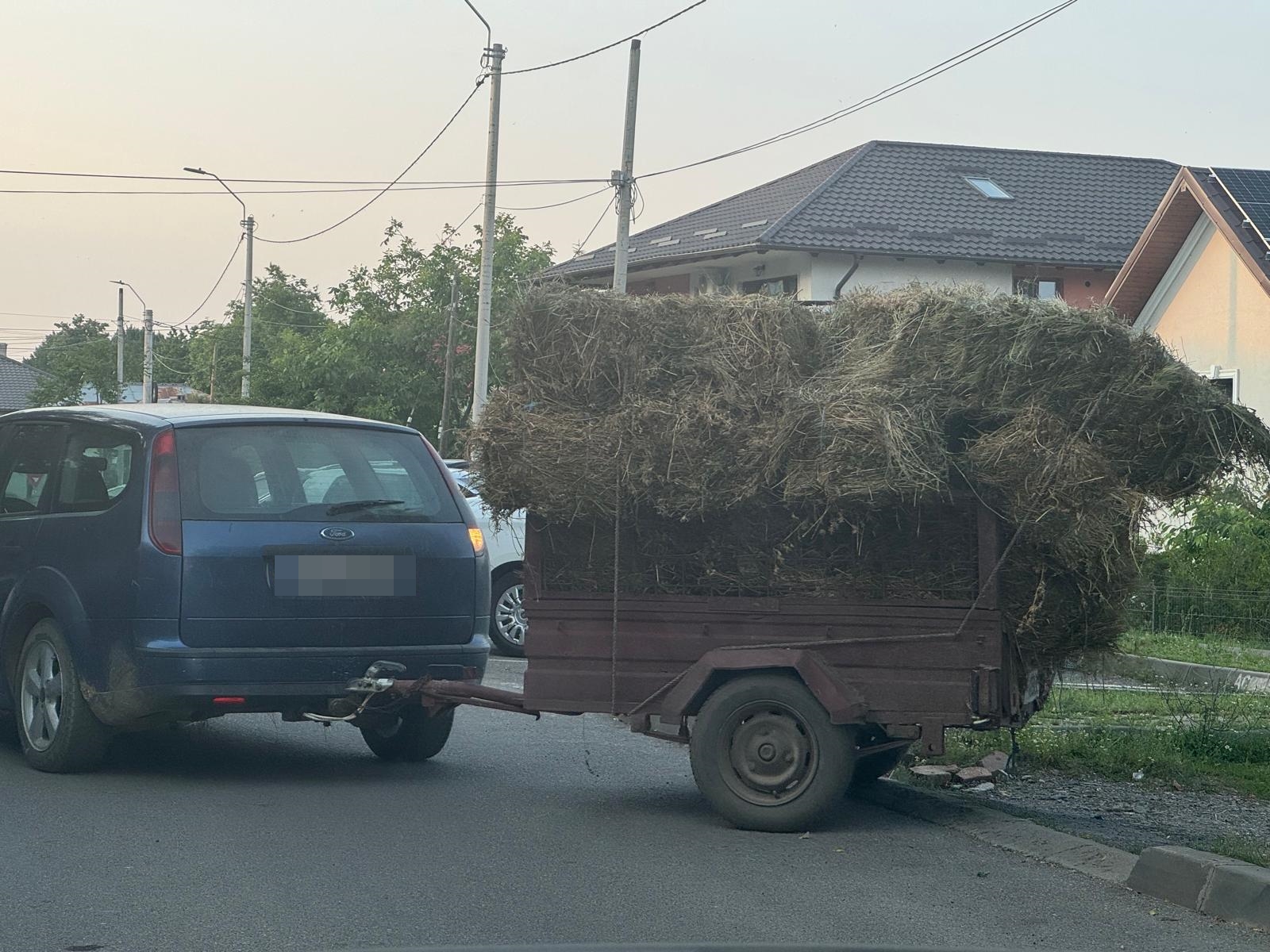 Poza zilei 12 iunie 2025 