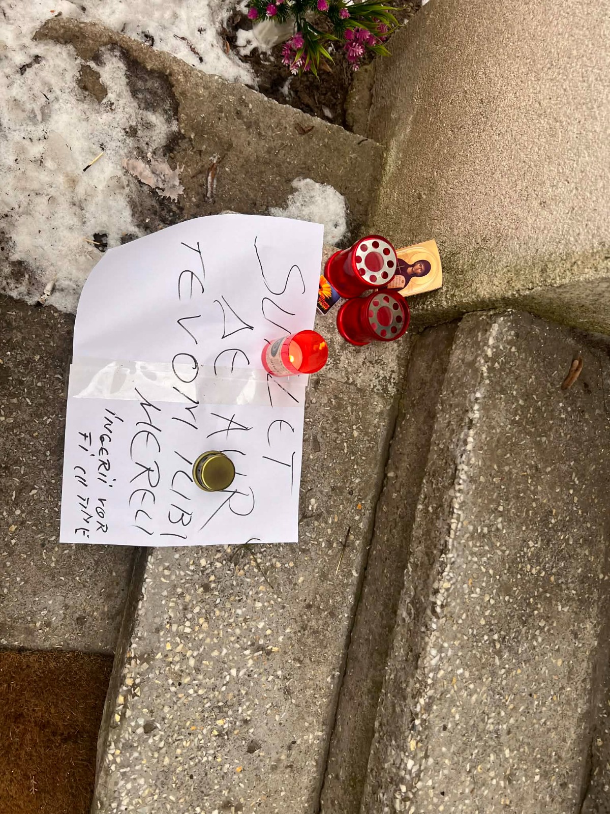 Poza zilei 6 februarie 2026