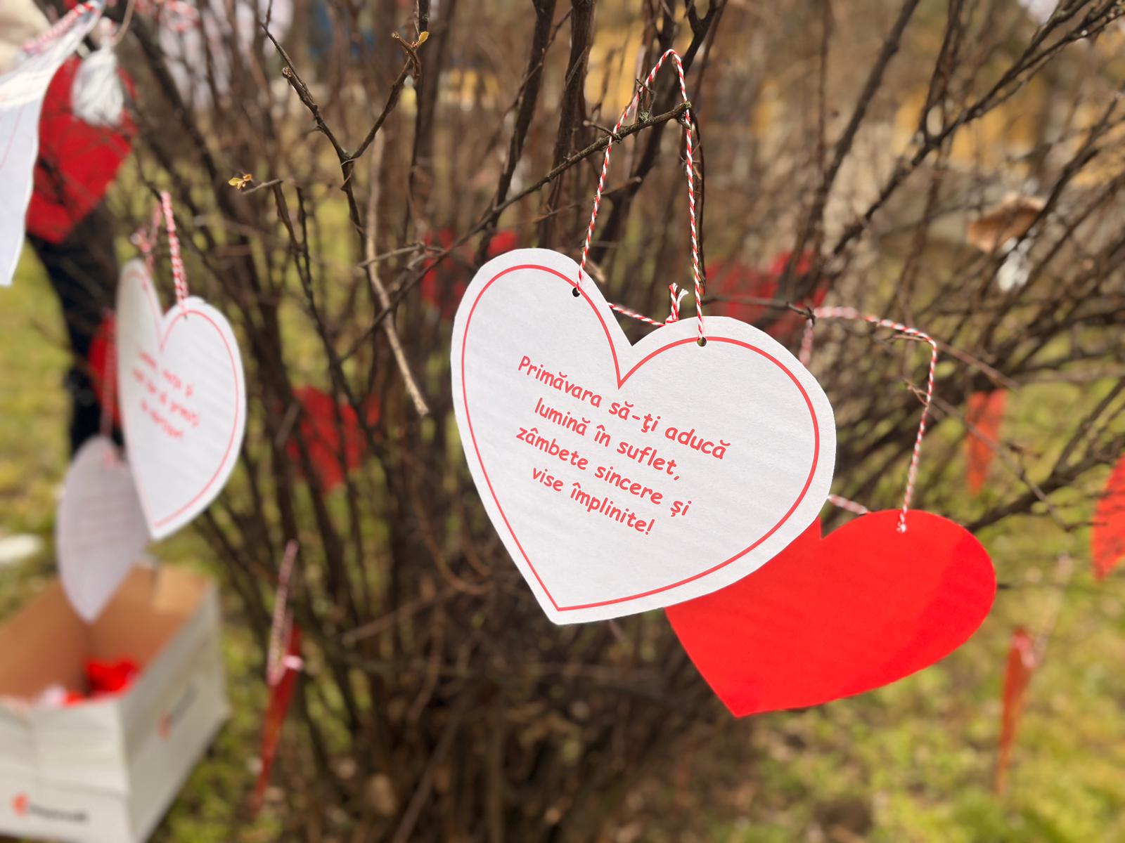 Poza zilei 4 martie 2026