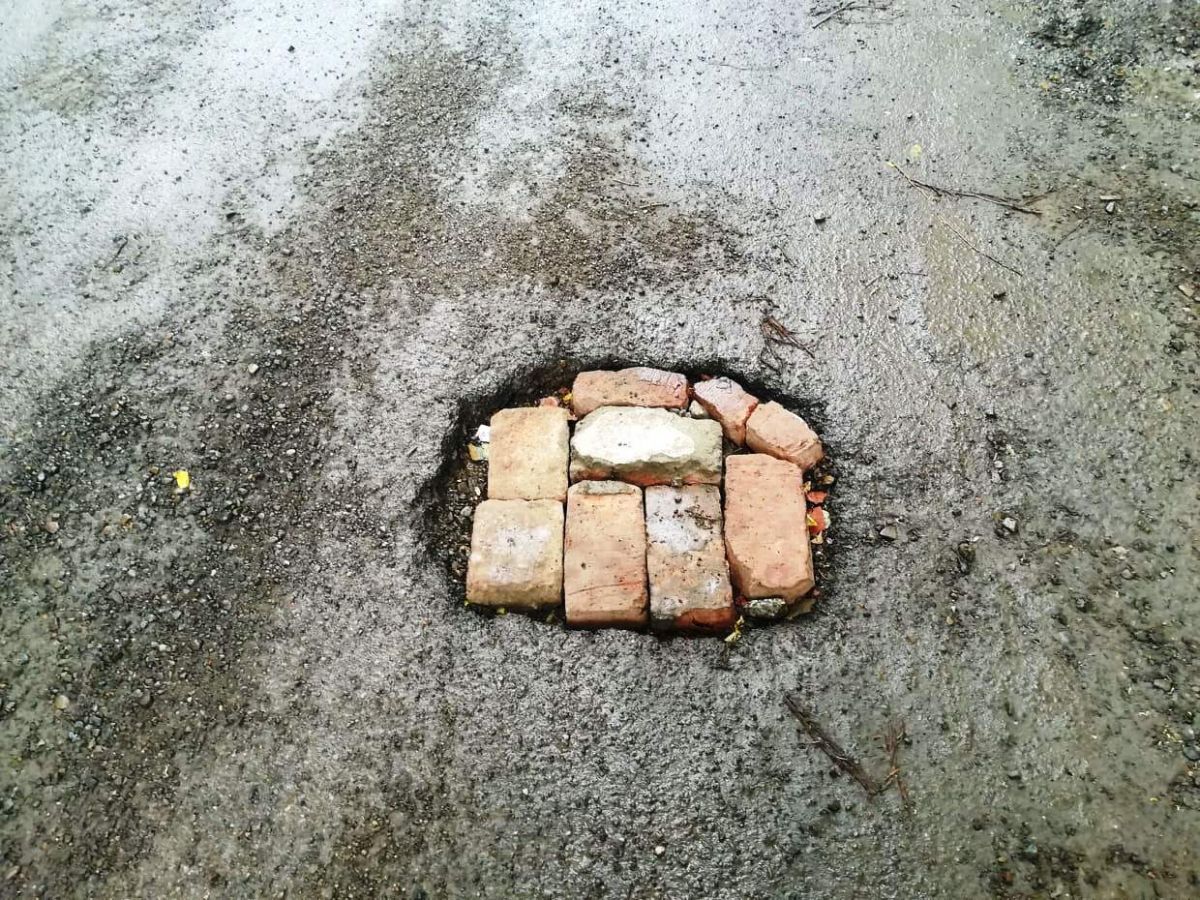 Poza zilei 23 mai 2019