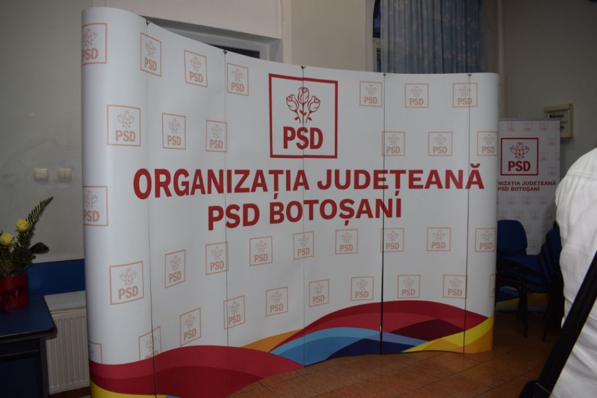 Noaptea cea mai grea la PSD Botoșani: Politicienii Puterii în poate cea mai neagră agonie, șefa lăsată cam singură, s-a pronunțat cuvântul „demisie”