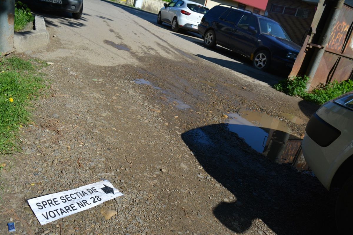 Poza zilei 28 mai 2019