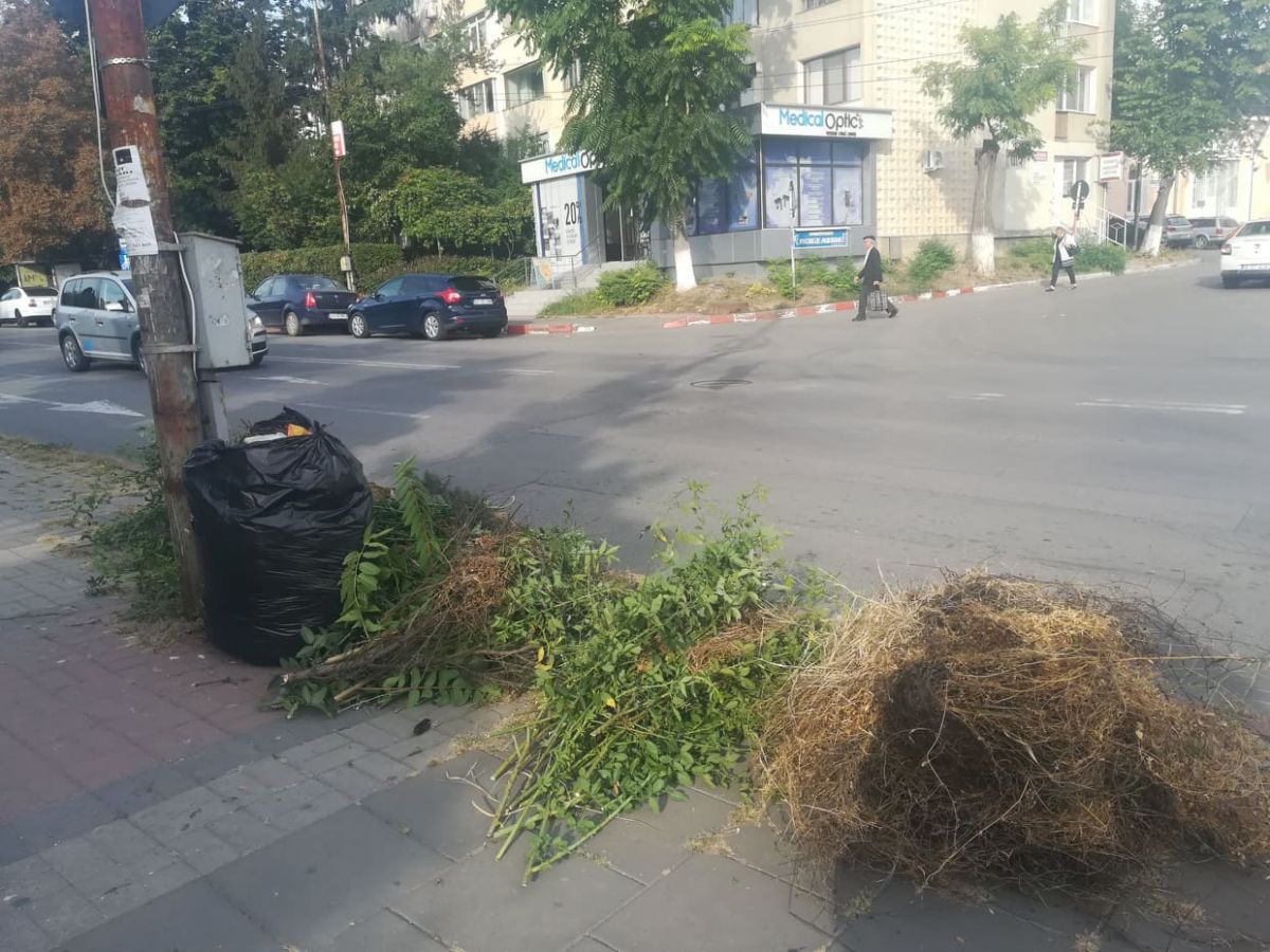 Poza zilei 16 septembrie 2019