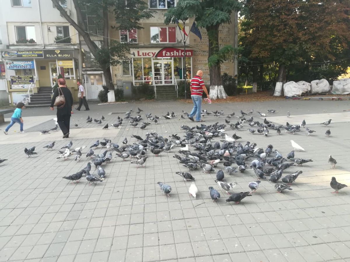 Poza zilei 17 septembrie 2019