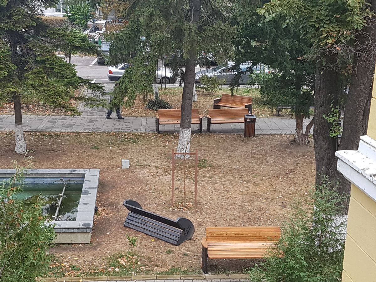 Poza zilei 18 septembrie 2019