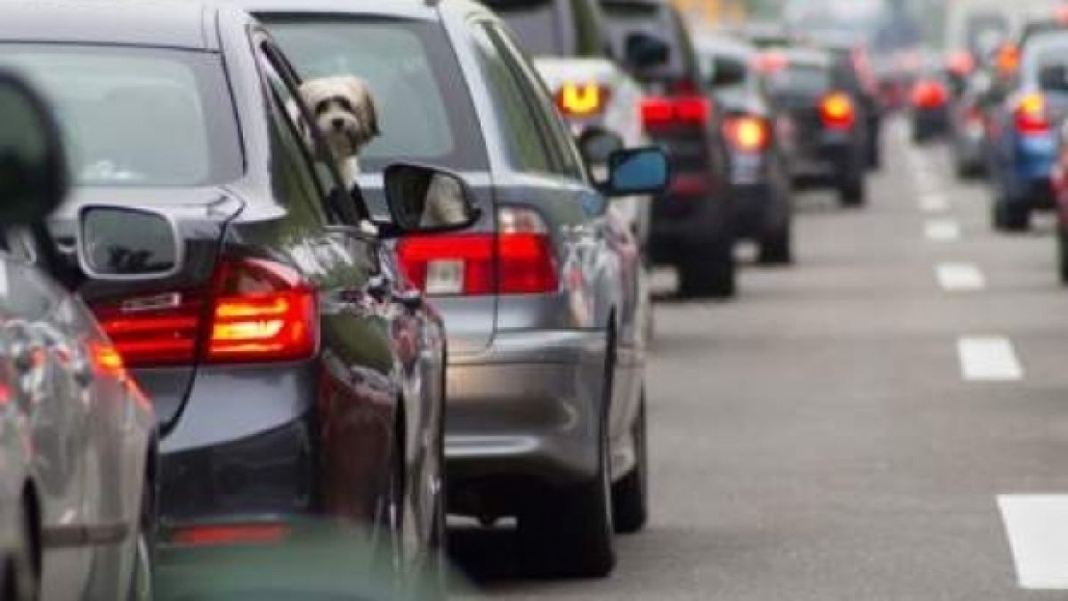 Mare atenție: Poți ajunge la închisoare FĂRĂ să conduci, decizie importantă pentru posesorii de permise auto