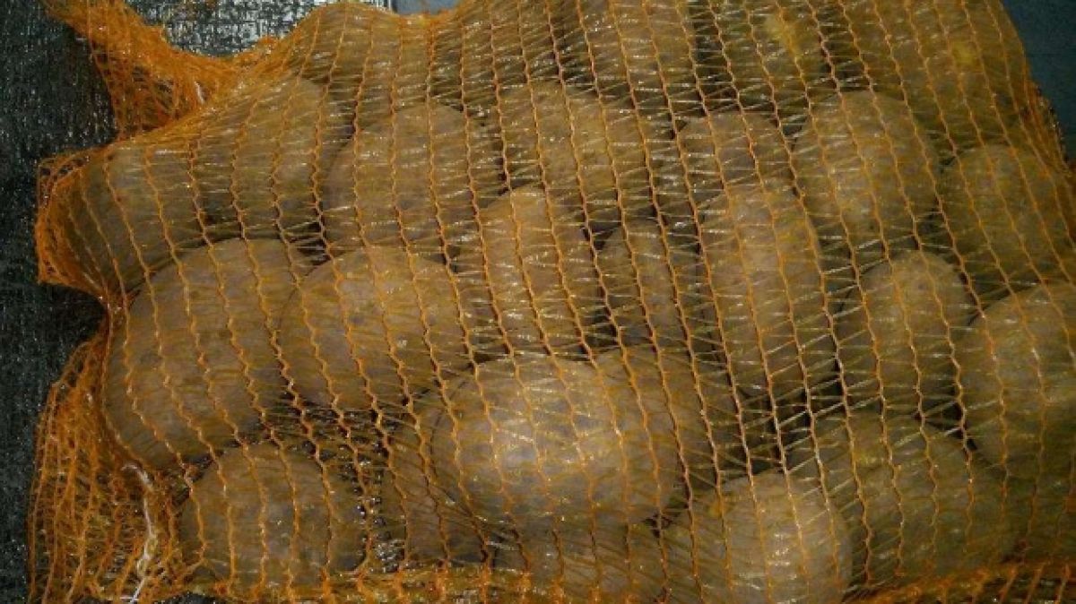 5.000 de lei: Cei mai SCUMPI cartofi s-au ”vândut” la Botoșani