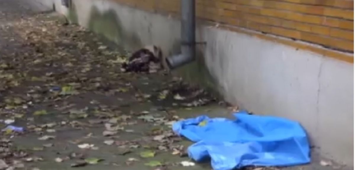 Anchetă după moartea 'Italianului' din bulevard: Este posibil să fi căzut de pe o clădire - VIDEO